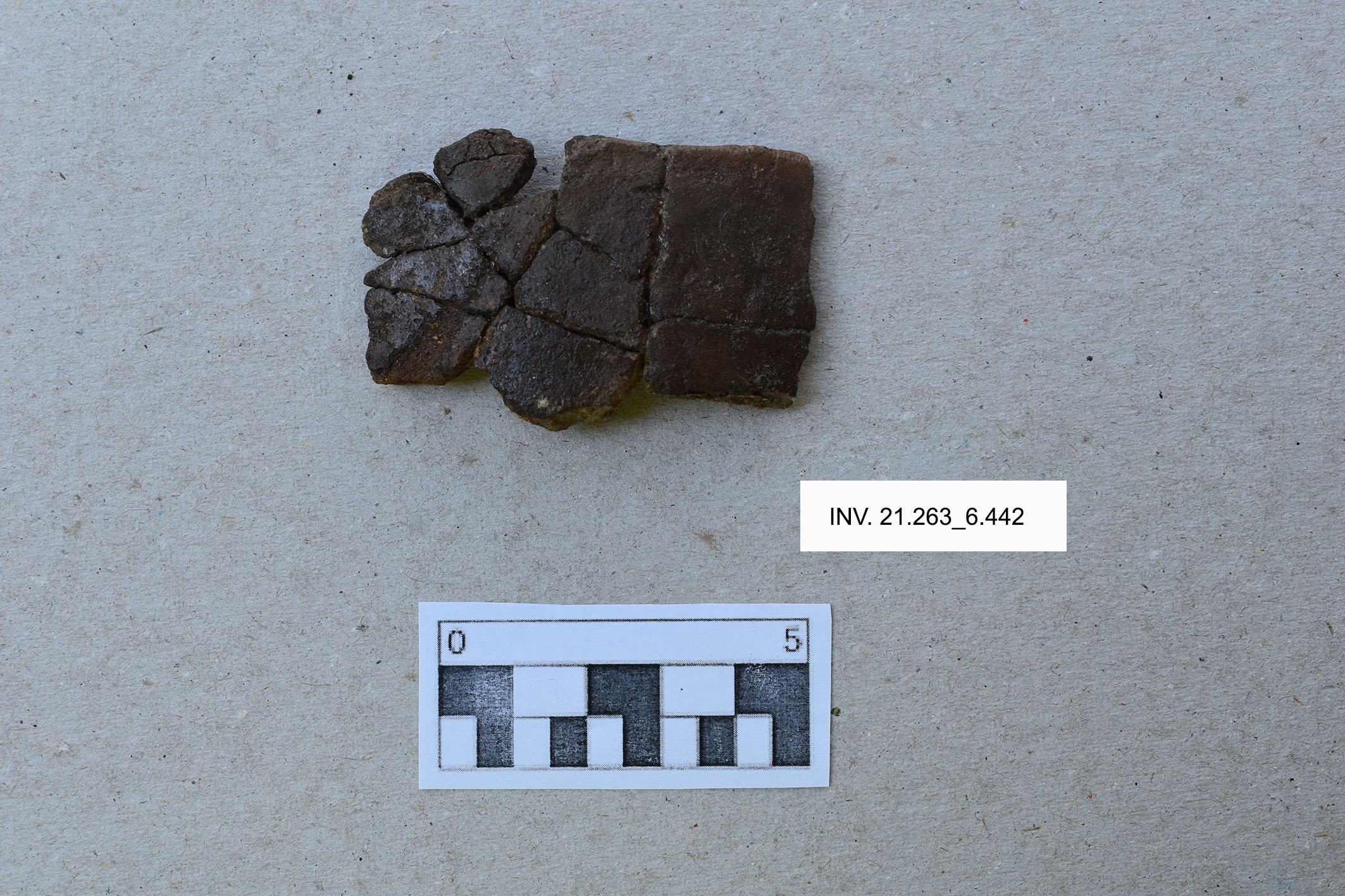 ciotola/ orlo, parete, a profilo arrotondato (MILLENNI/ V millennio a.C)