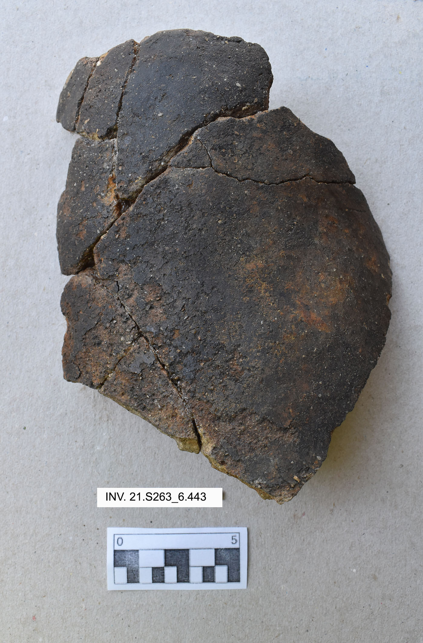 vaso, a collo (PERIODIZZAZIONI/ ARCHI DI PERIODI/ Neolitico-Età del Rame)