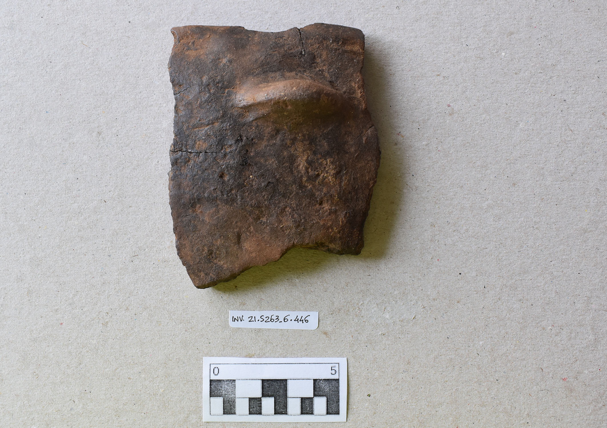 scodella, troncoconica (MILLENNI/ V millennio a.C)