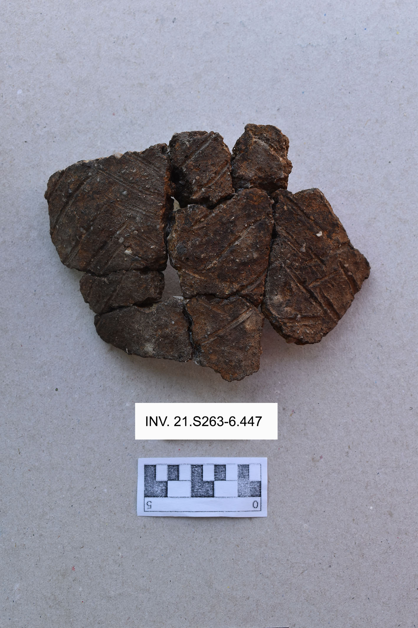 recipiente/ parete (PERIODIZZAZIONI/ PREISTORIA/ Età del Rame)