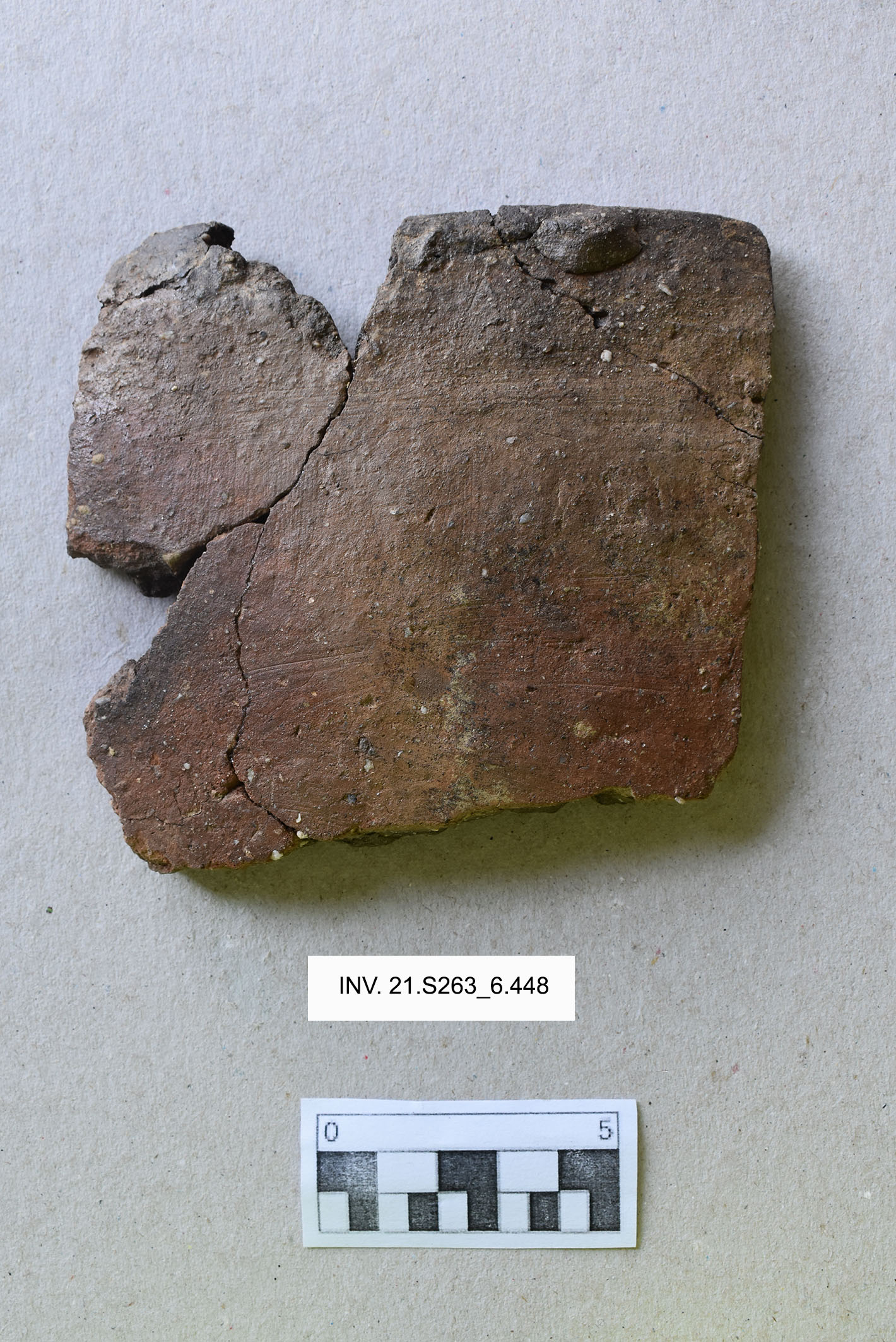 scodella, troncoconica (MILLENNI/ V millennio a.C)