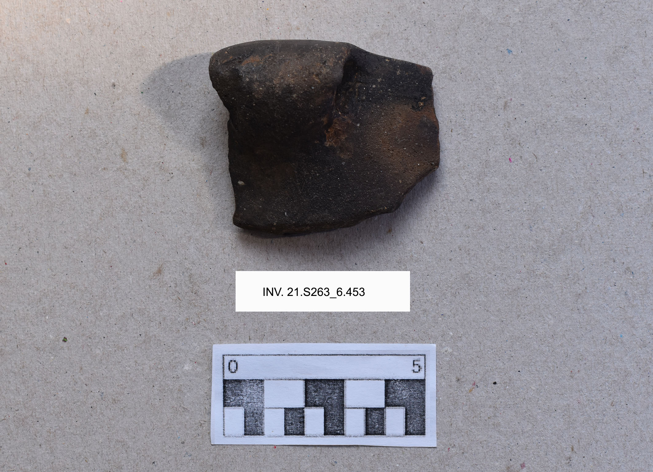 tazza - Ripoli 2 (MILLENNI/ V millennio a.C)