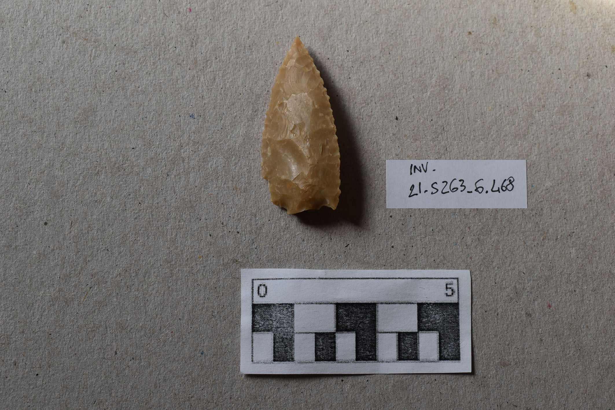 punta/ di freccia (PERIODIZZAZIONI/ PREISTORIA/ Età del Rame)