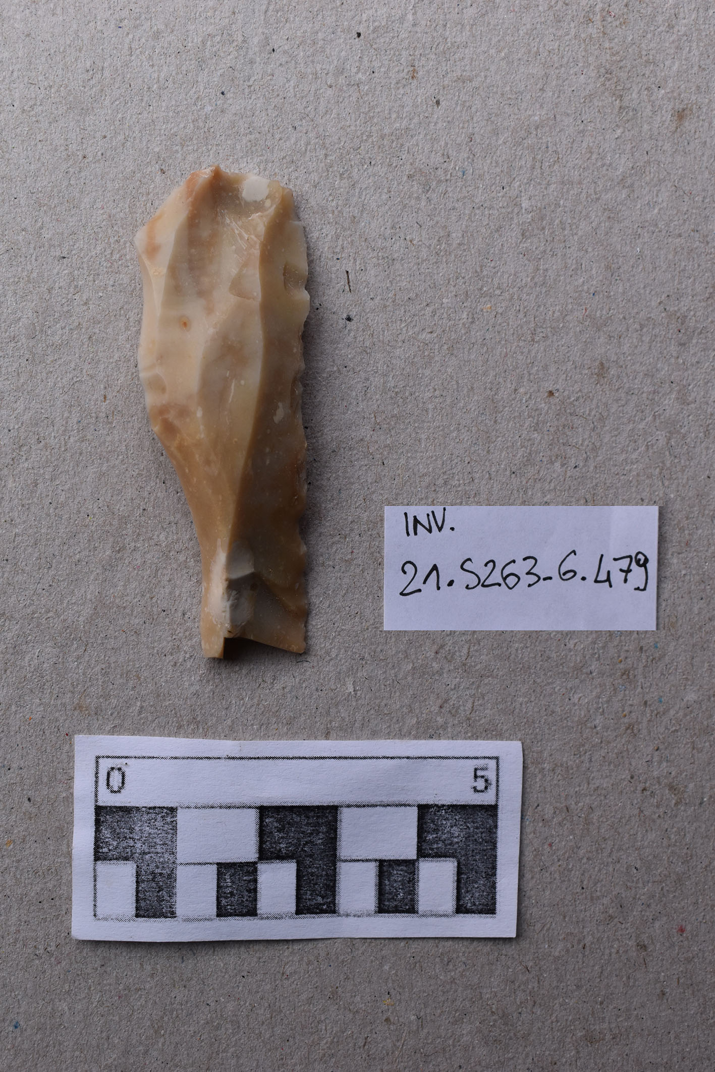 lama (MILLENNI/ V millennio a.C)