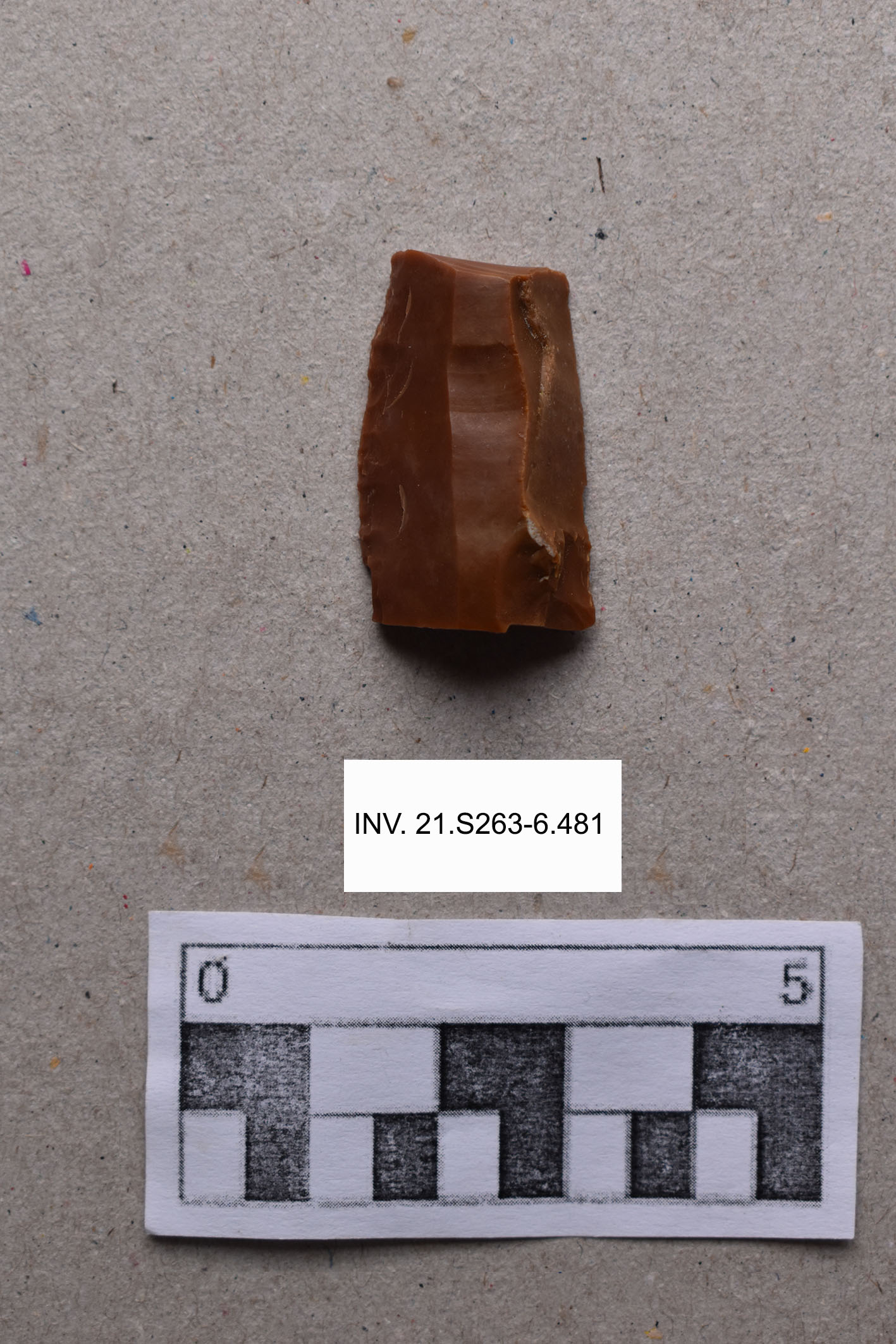 lama (MILLENNI/ V millennio a.C)