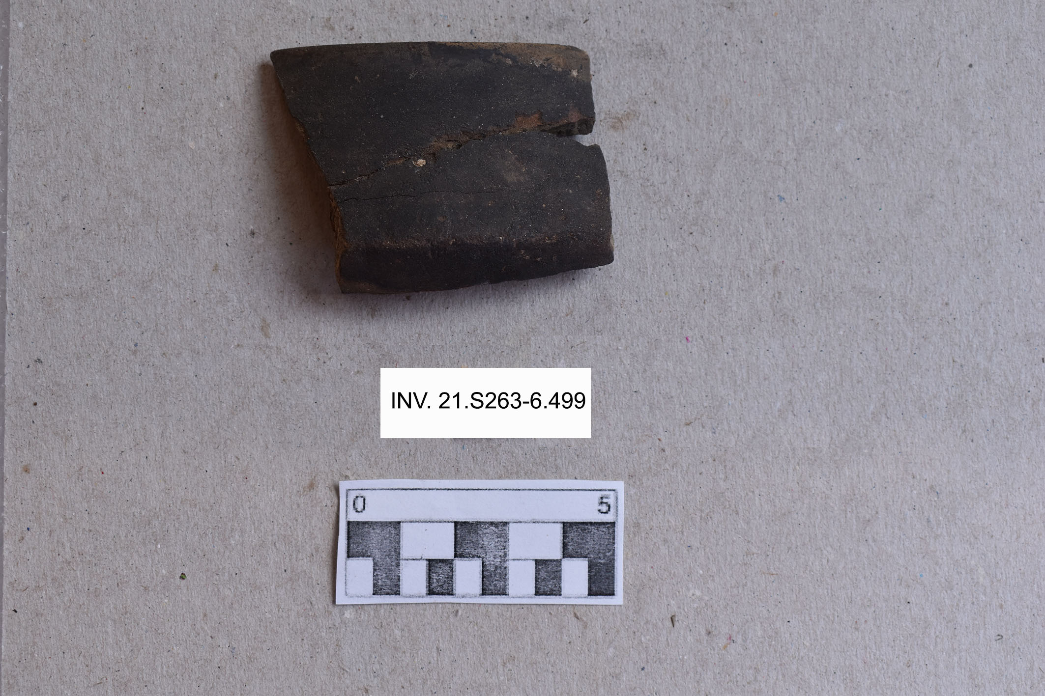 ciotola/ carenata (MILLENNI/ V millennio a.C)