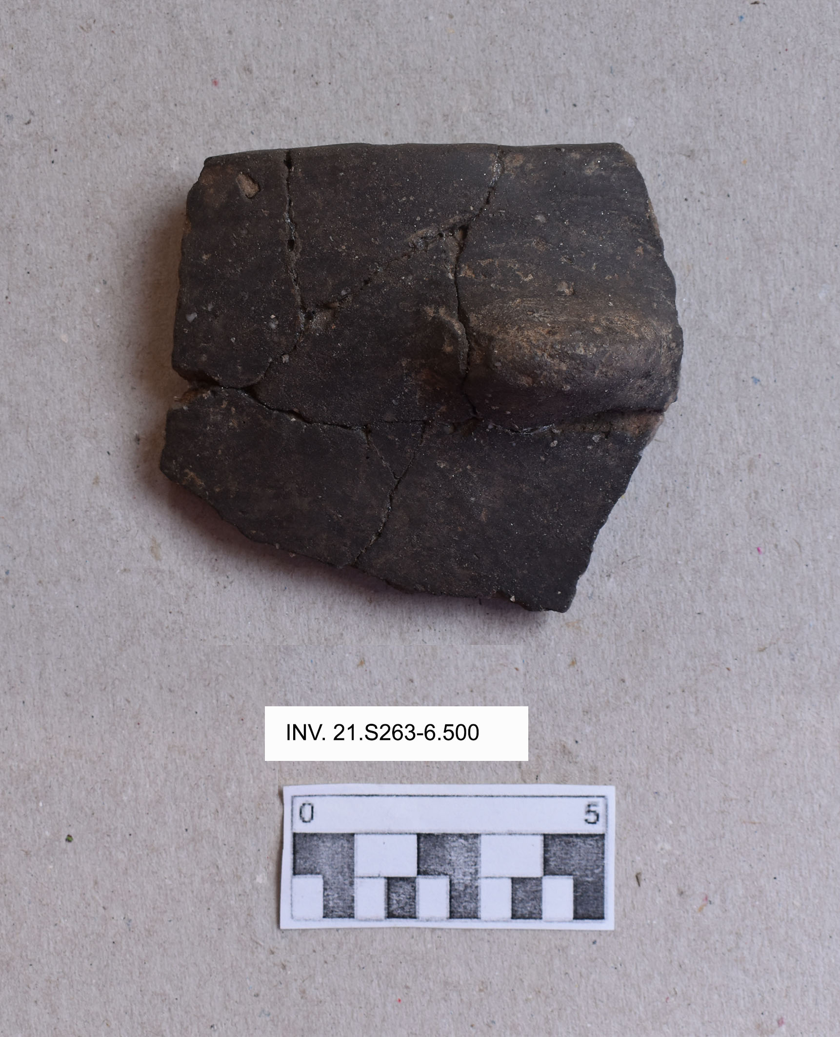 scodella, troncoconica (MILLENNI/ V millennio a.C)