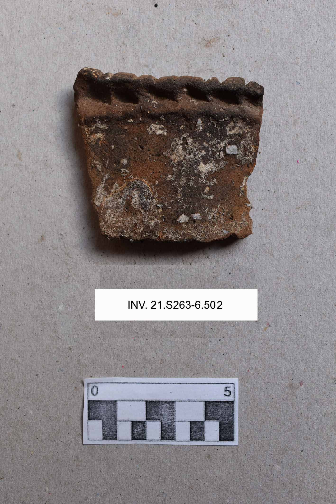 olla (PERIODIZZAZIONI/ PREISTORIA/ Età del Rame)