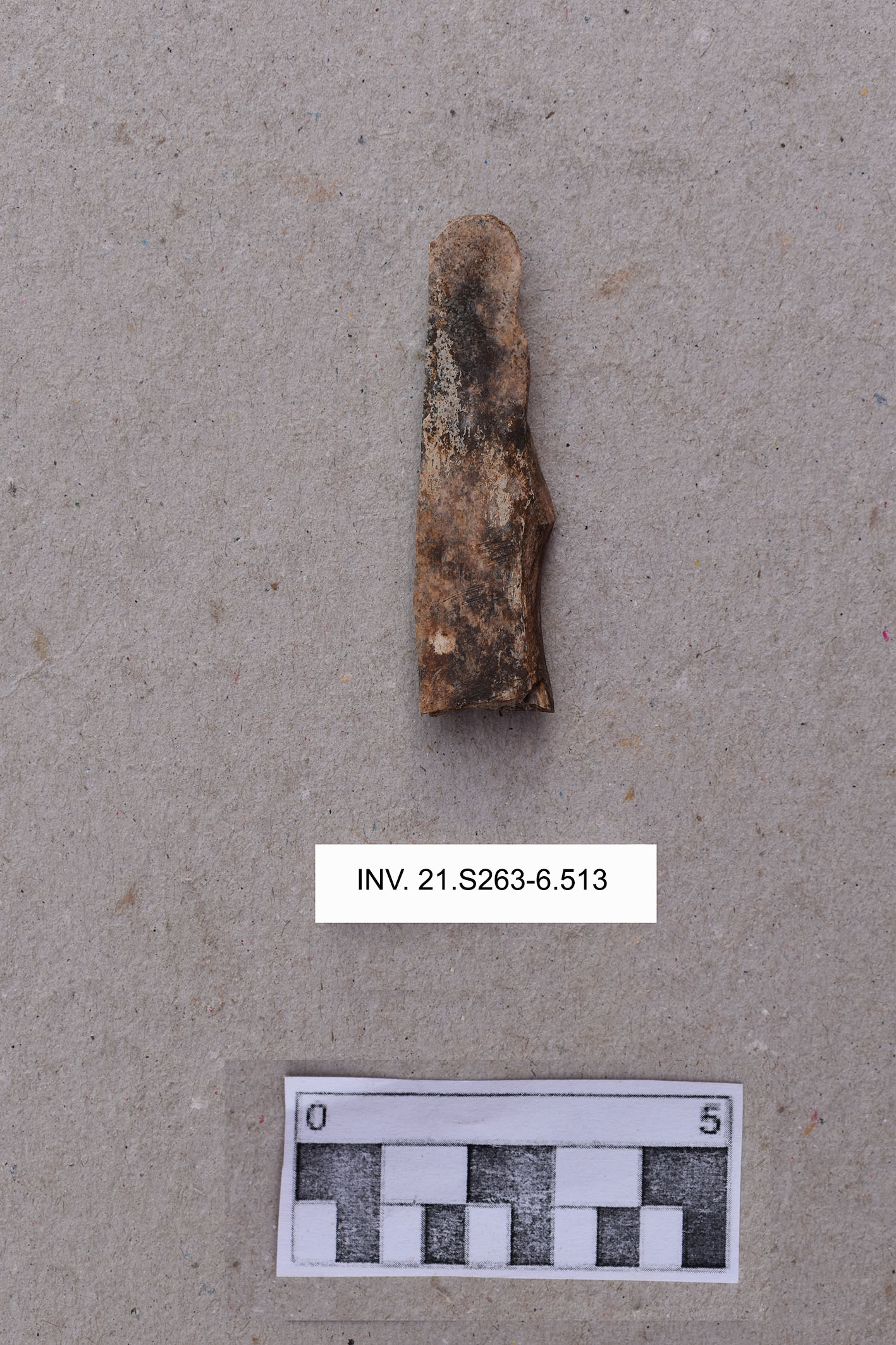 spatola (PERIODIZZAZIONI/ ARCHI DI PERIODI/ Neolitico-Età del Rame)