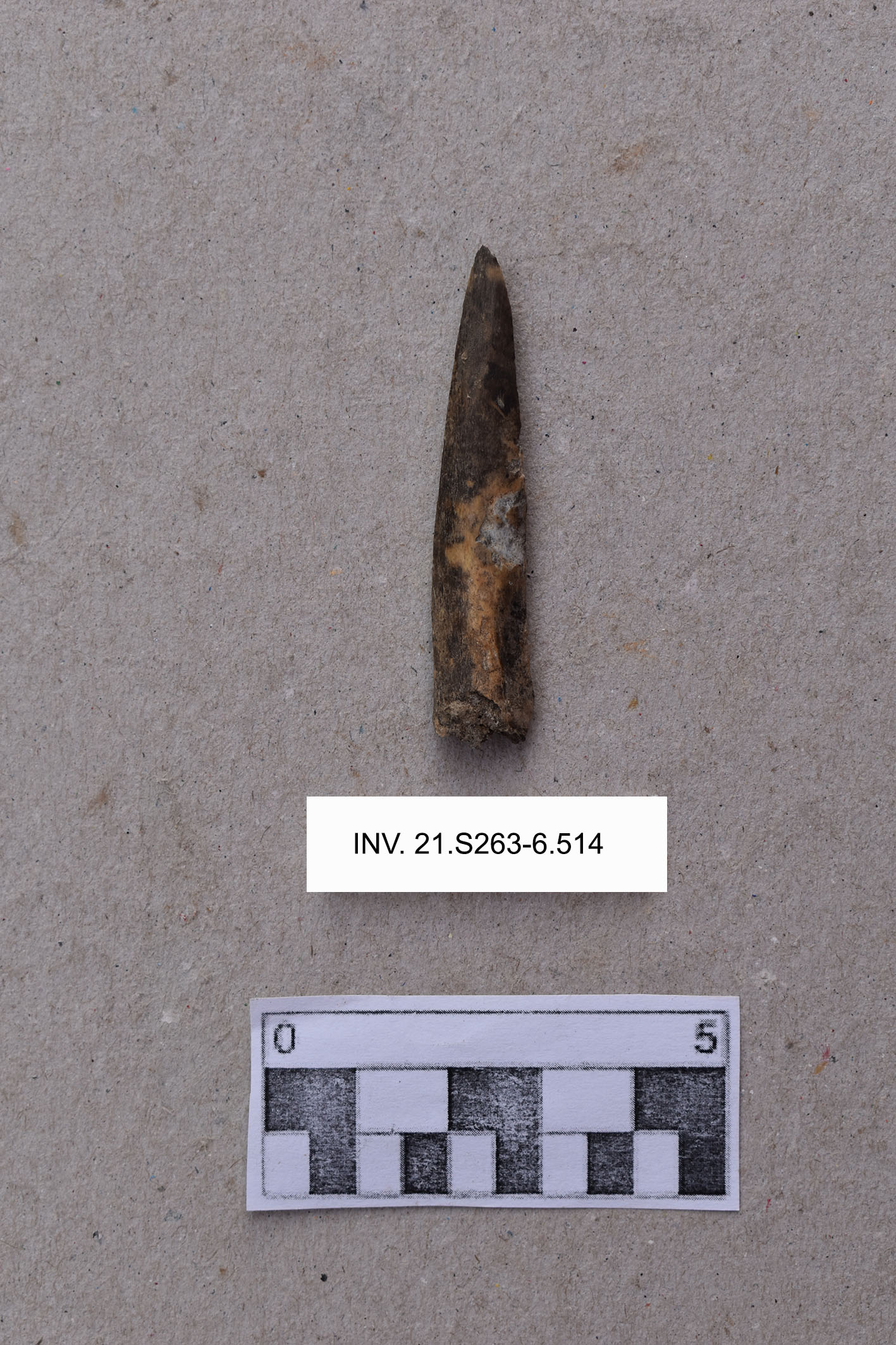 punta, a taglio sbiecato (PERIODIZZAZIONI/ PREISTORIA/ Età del Rame)