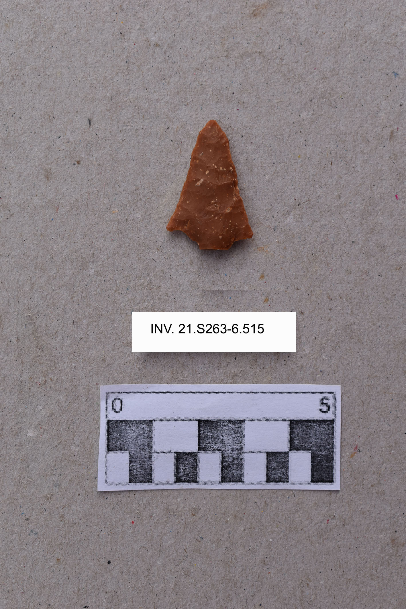 punta/ di freccia (PERIODIZZAZIONI/ ARCHI DI PERIODI/ Neolitico-Età del Rame)