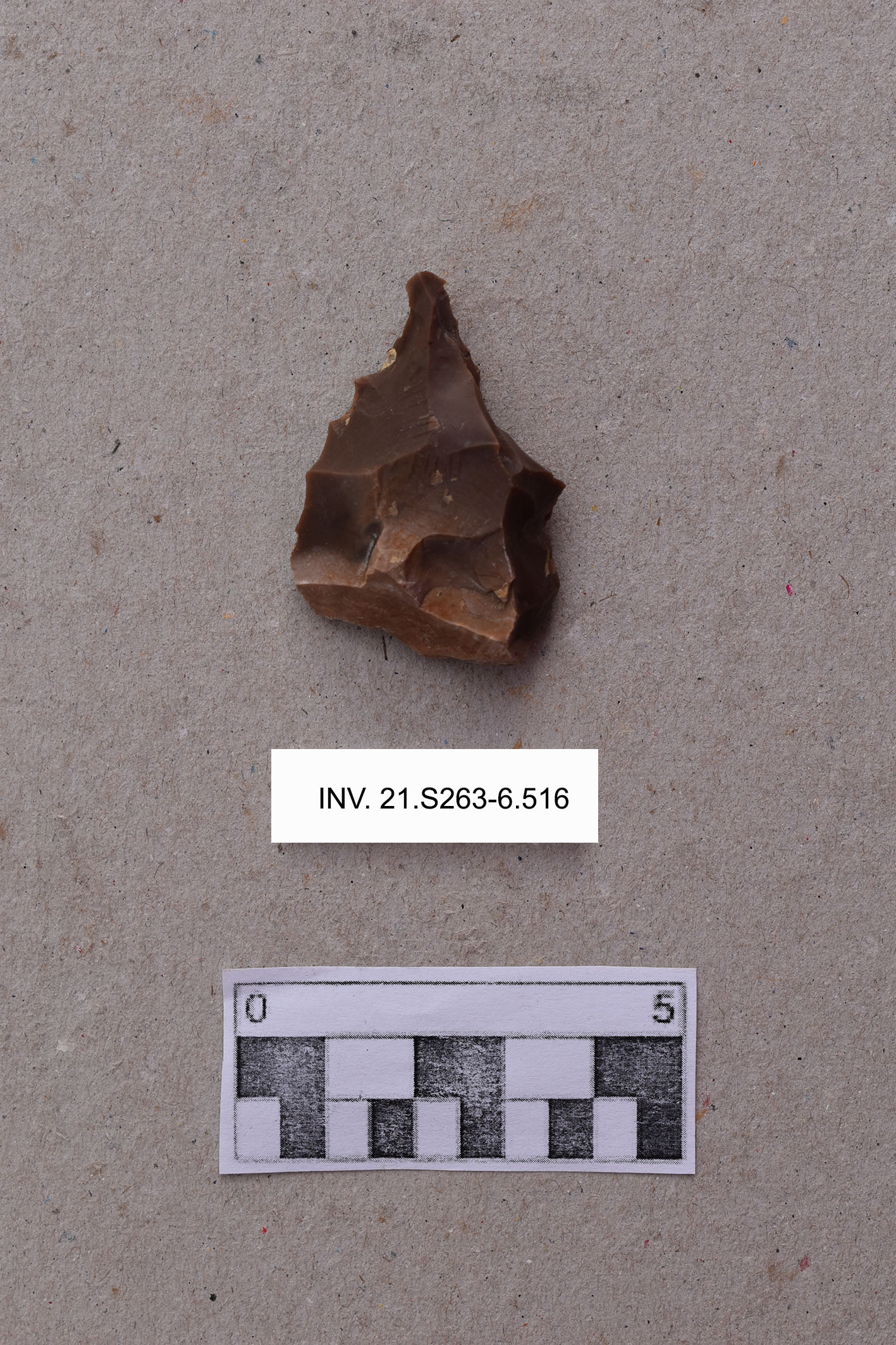 punta, denticolata (PERIODIZZAZIONI/ ARCHI DI PERIODI/ Neolitico-Età del Rame)