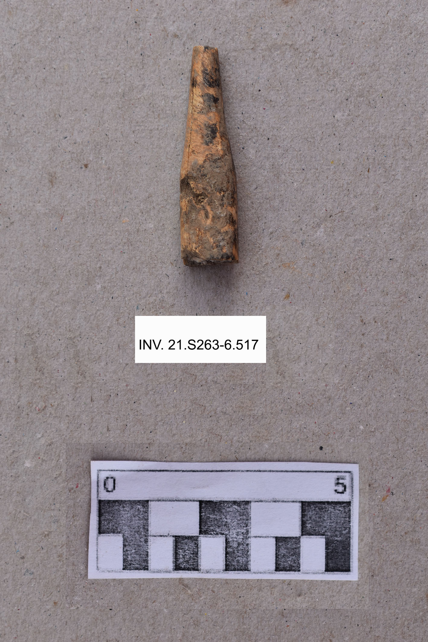 punteruolo (PERIODIZZAZIONI/ ARCHI DI PERIODI/ Neolitico-Età del Rame)