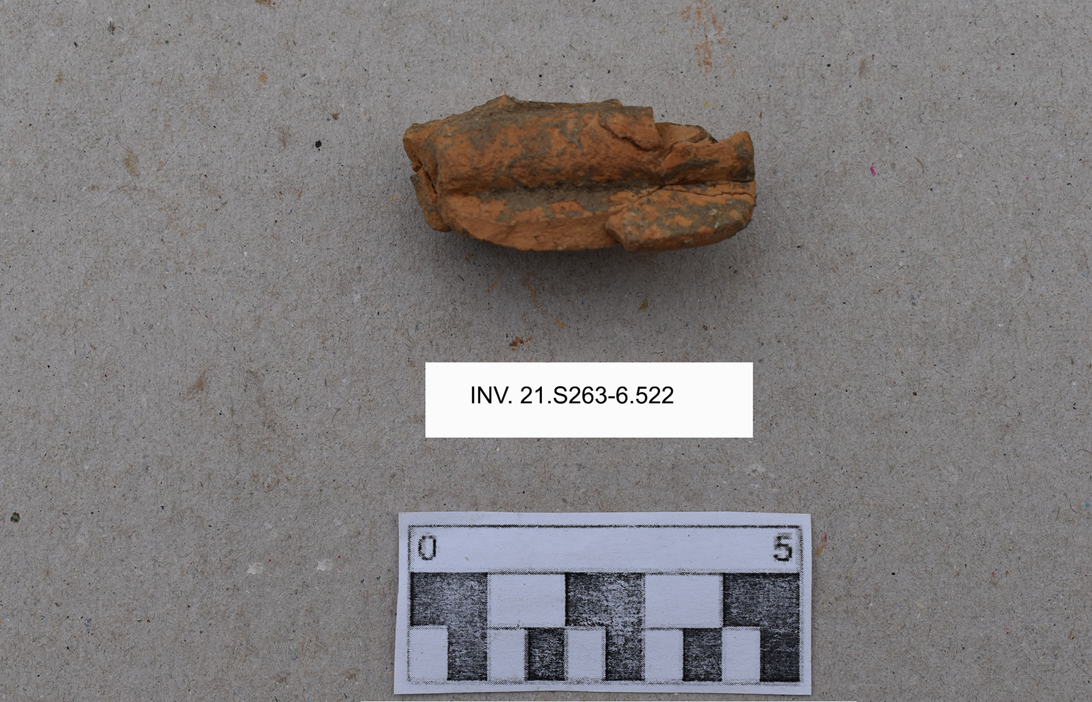 recipiente/ ansa, a ravvolgimento - facies di Serra d'Alto (MILLENNI/ V millennio a.C)