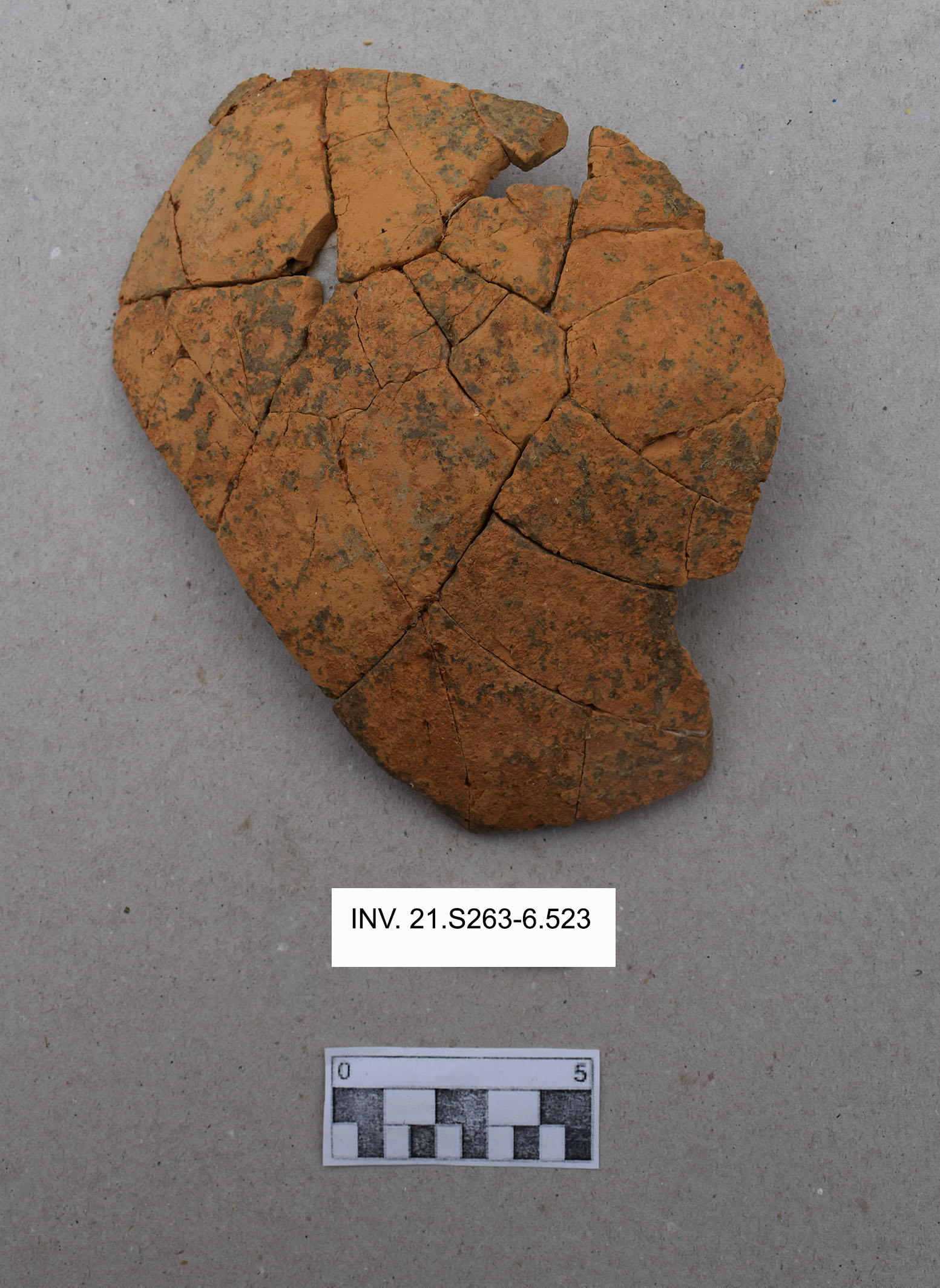 recipiente/ fondo, parete - Ripoli 2 (MILLENNI/ V millennio a.C)