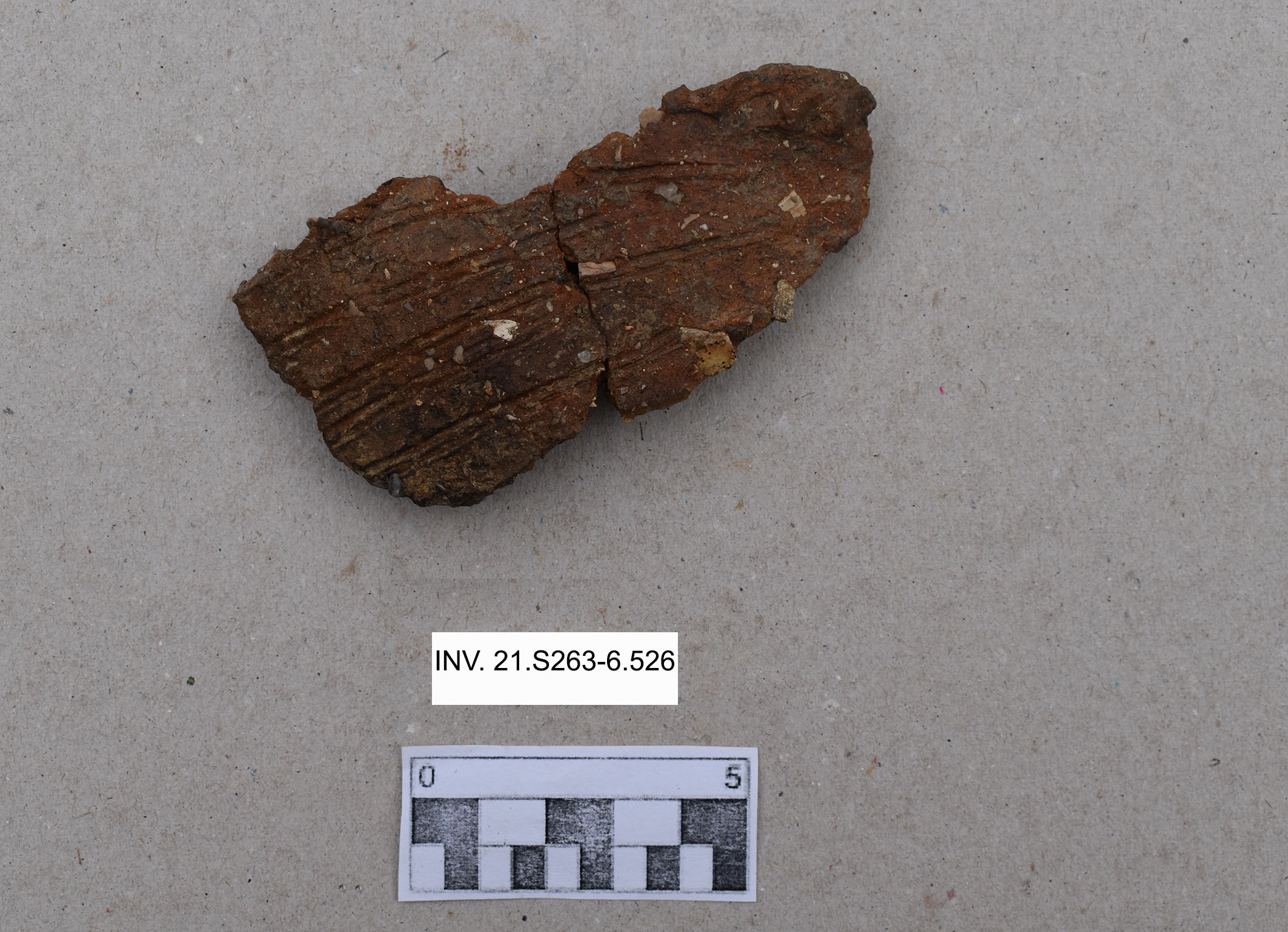 olla, globulare (PERIODIZZAZIONI/ PREISTORIA/ Età del Rame)