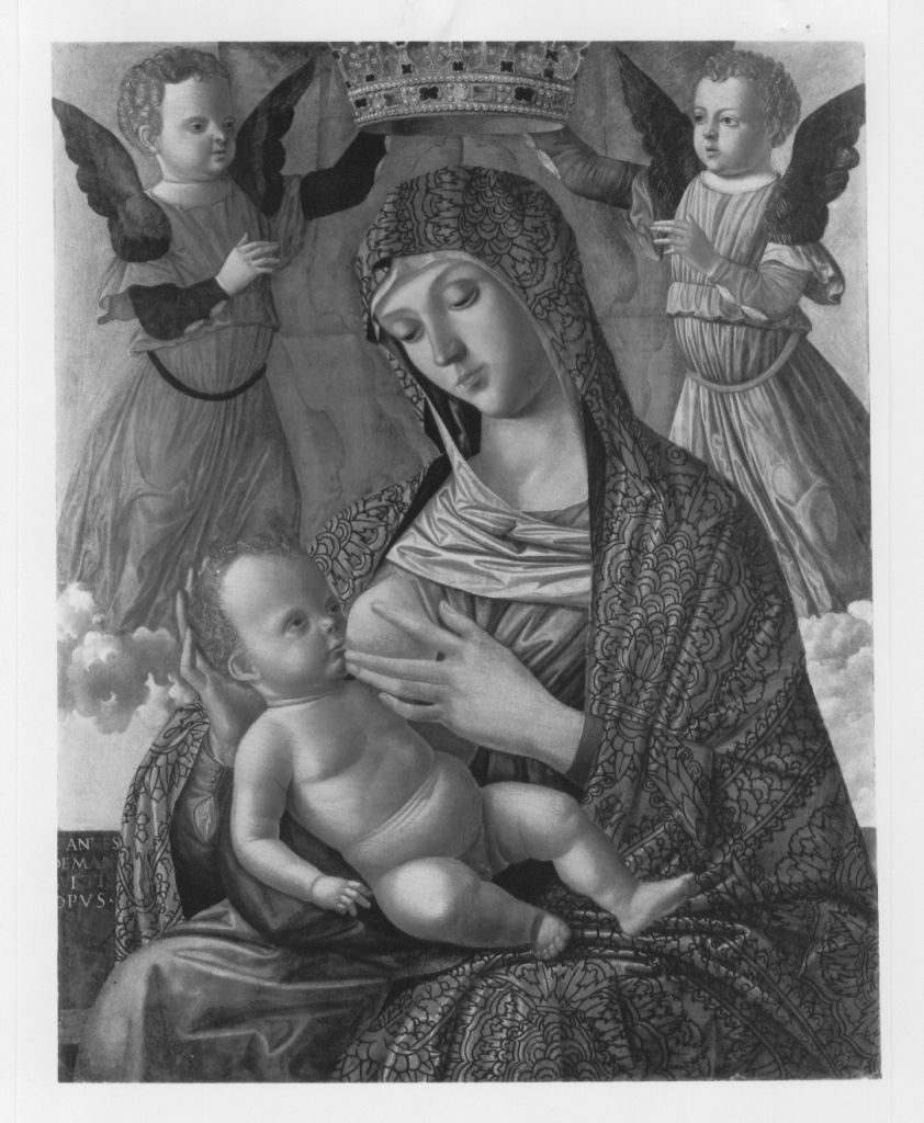 Madonna con il Bambino incoronata da due angeli (dipinto) di Mansueti Giovanni (prima metà XVI)