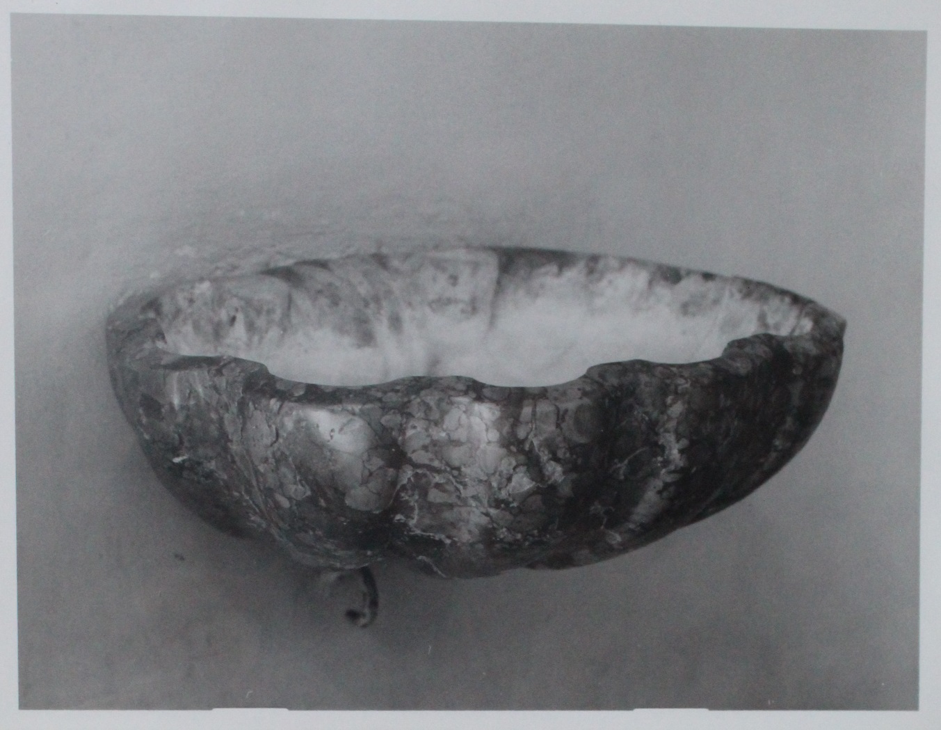 acquasantiera - a conchiglia, paio - bottega romagnola (secondo quarto XIX)