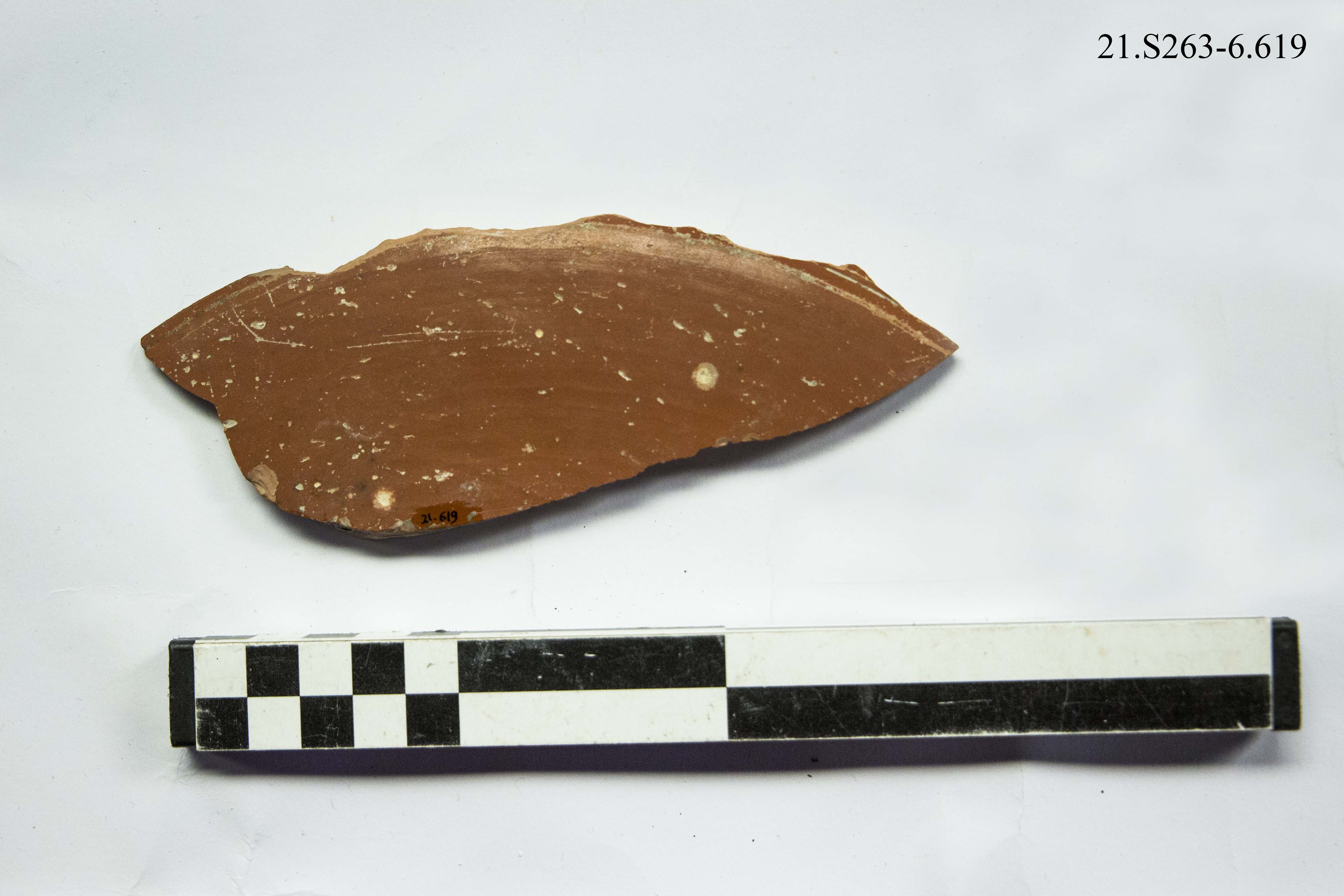 SINGOLO OGGETTO/ coppa, SECOLI/ I