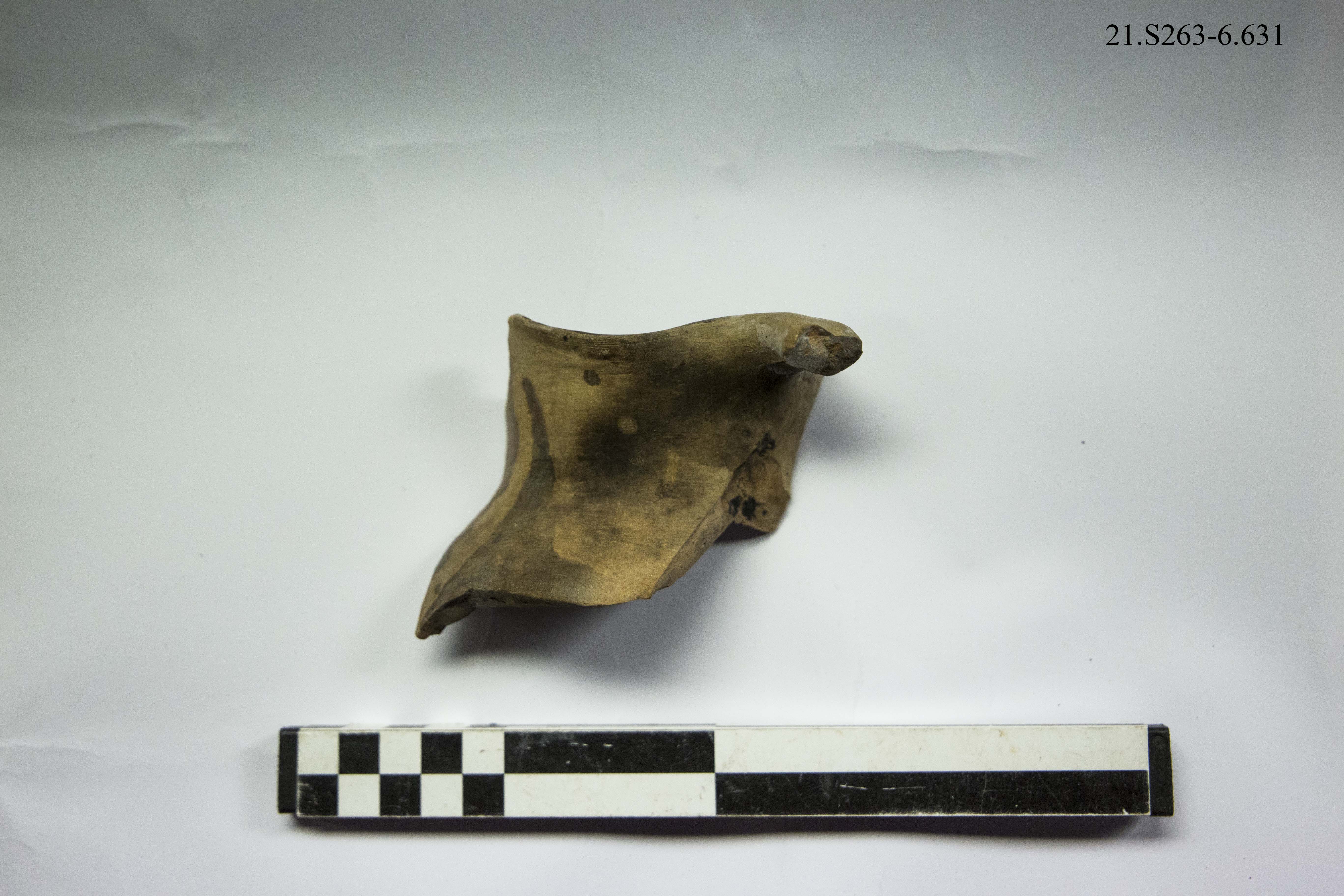 SINGOLO OGGETTO/ brocca, SECOLI/ VIII, SECOLI/ XII