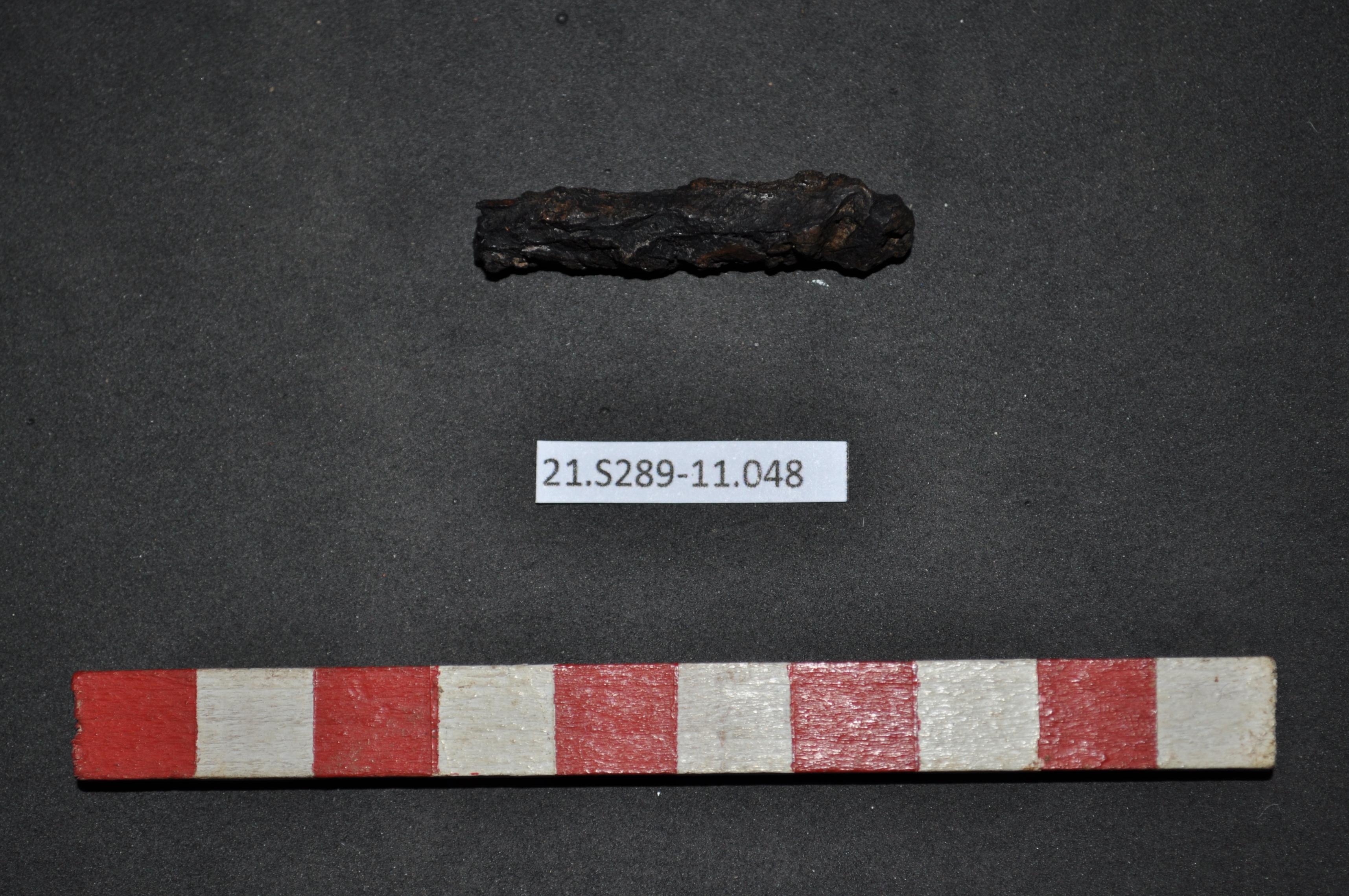 SINGOLO OGGETTO/ fibbia, PERIODIZZAZIONI/ STORIA/ Età antica/ Età romana/ Età romana imperiale