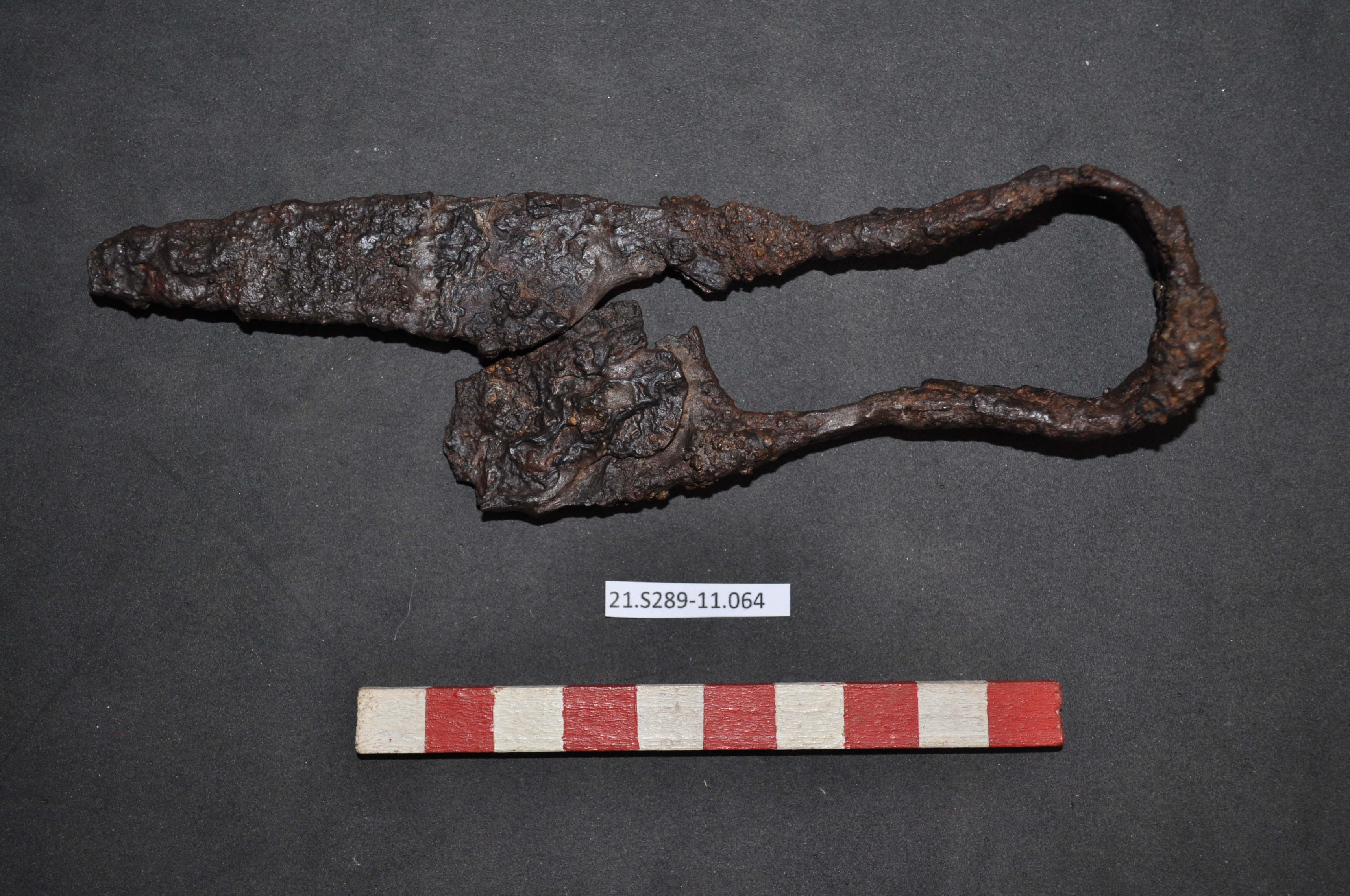 SINGOLO OGGETTO/ cesoia, PERIODIZZAZIONI/ STORIA/ Età antica/ Età romana/ Età romana imperiale