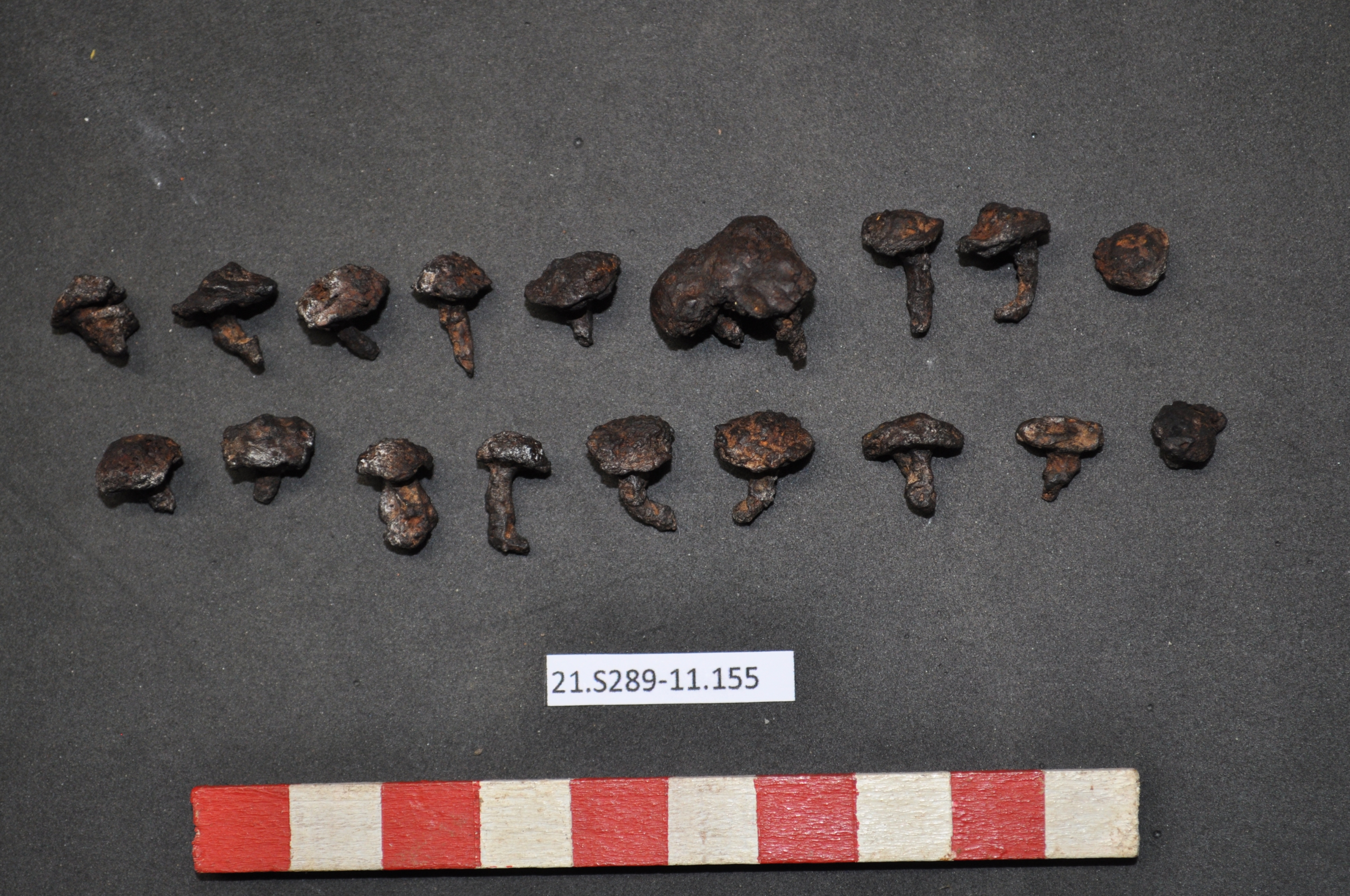 SINGOLO OGGETTO/ chiodo, PERIODIZZAZIONI/ STORIA/ Età antica/ Età romana/ Età romana imperiale