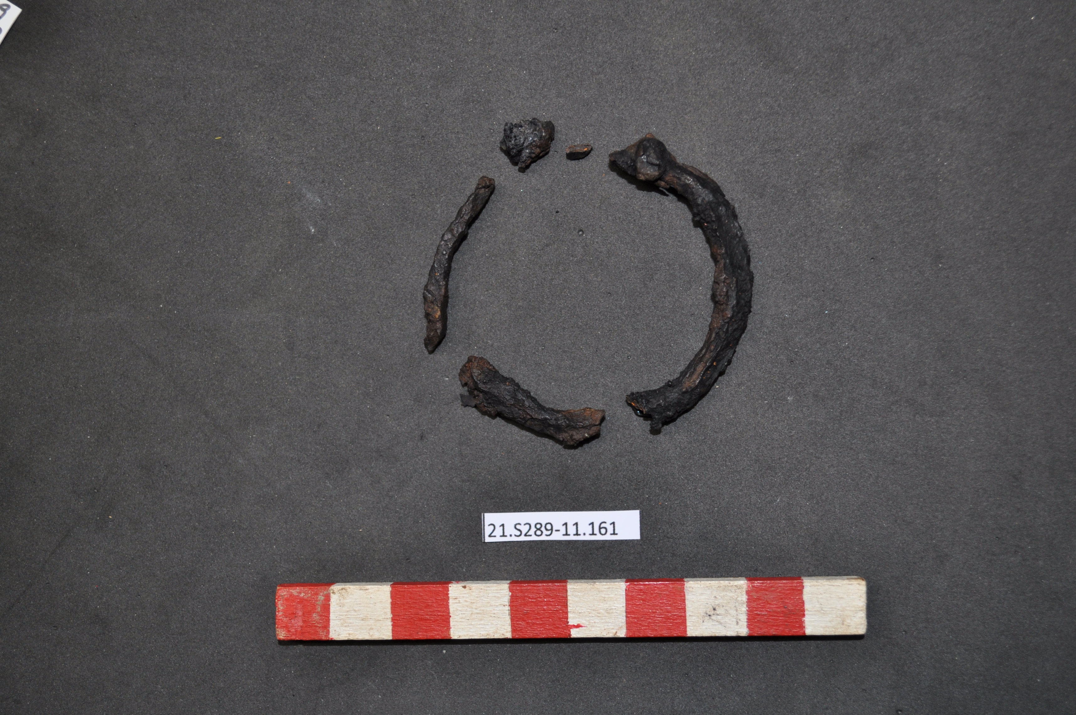 SINGOLO OGGETTO/ anello, PERIODIZZAZIONI/ STORIA/ Età antica/ Età romana/ Età romana imperiale