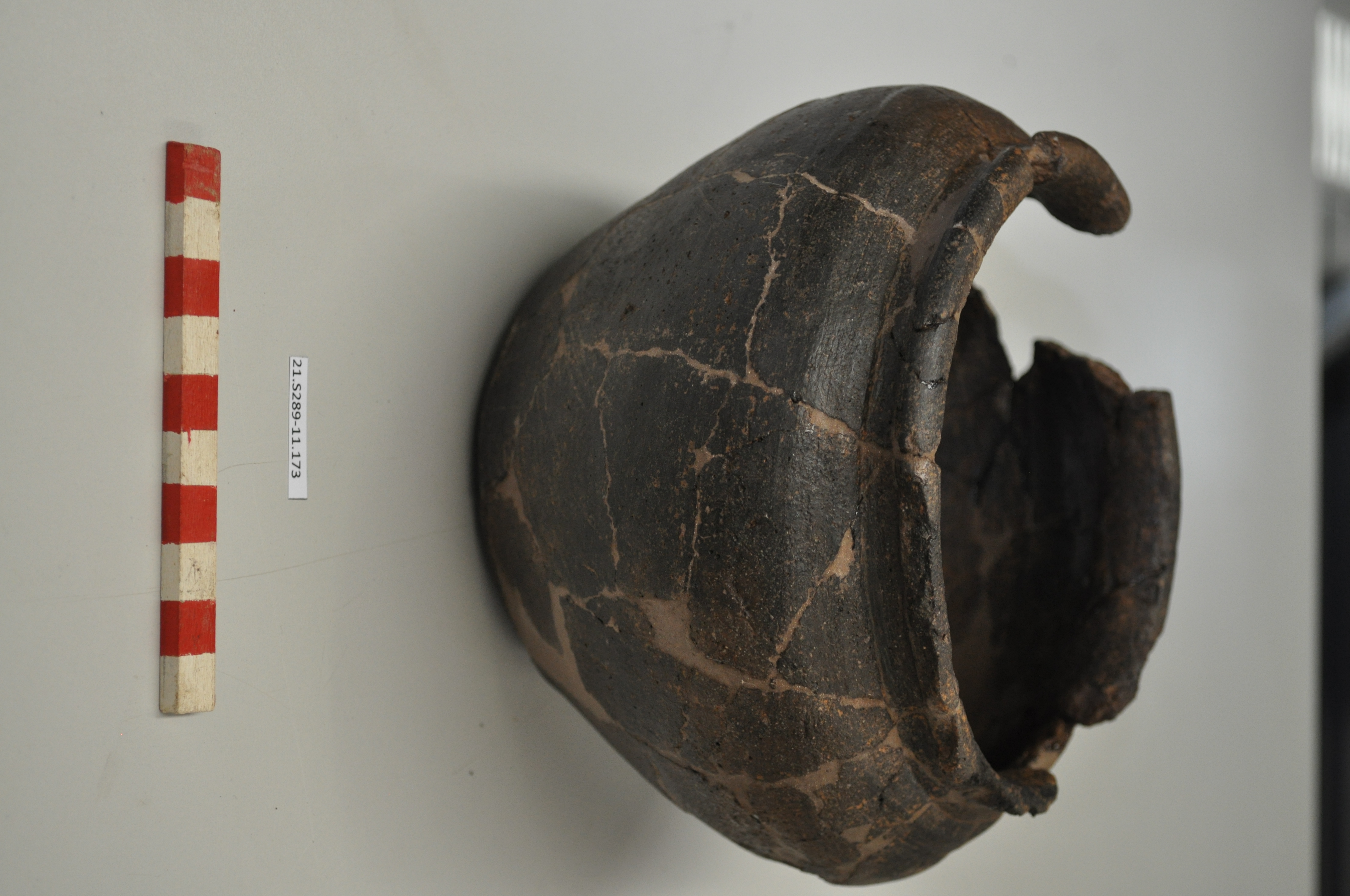 SINGOLO OGGETTO/ olla, PERIODIZZAZIONI/ STORIA/ Età antica/ Età romana/ Età romana imperiale