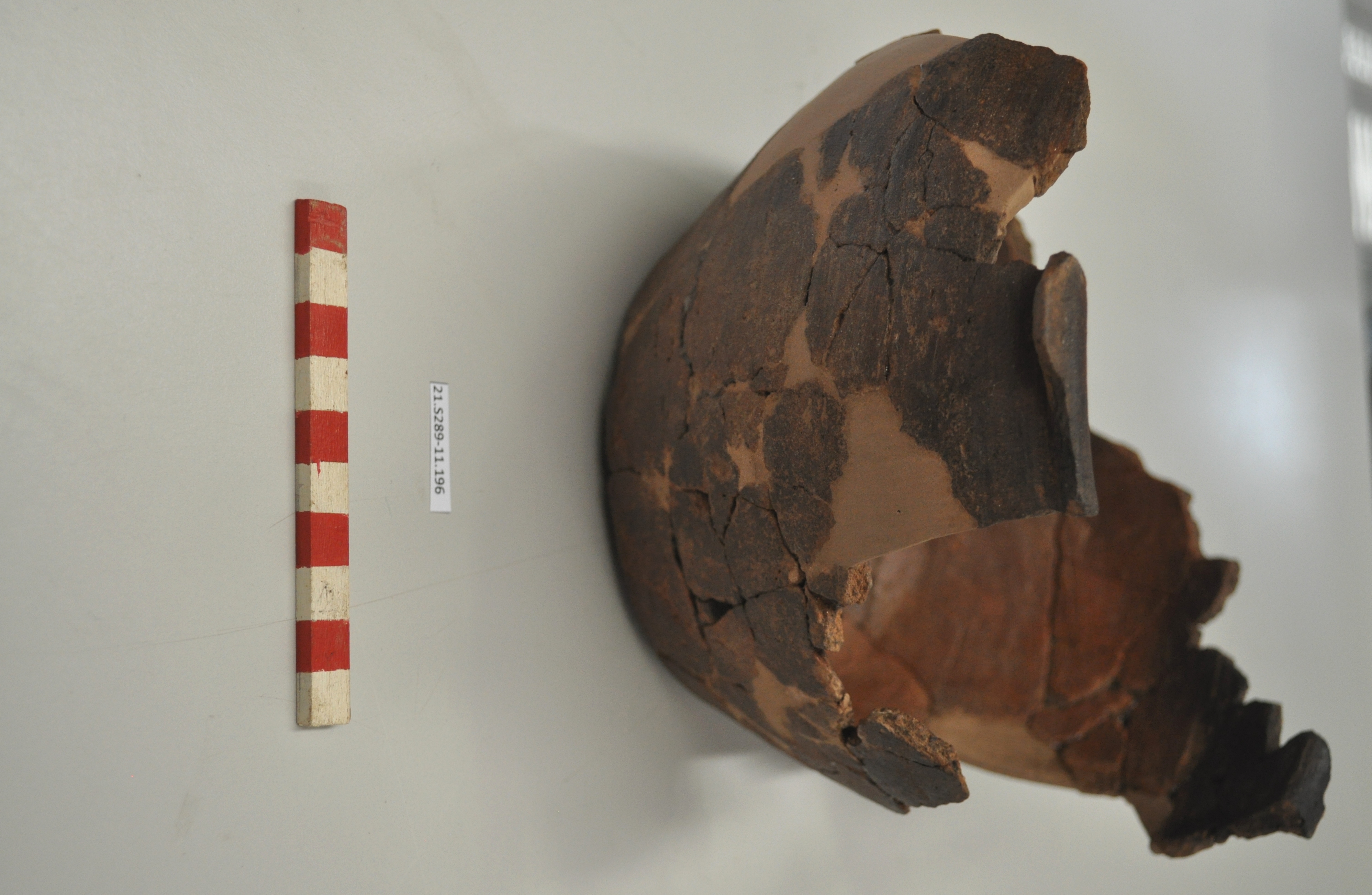 SINGOLO OGGETTO/ olla, PERIODIZZAZIONI/ STORIA/ Età antica/ Età romana/ Età romana imperiale