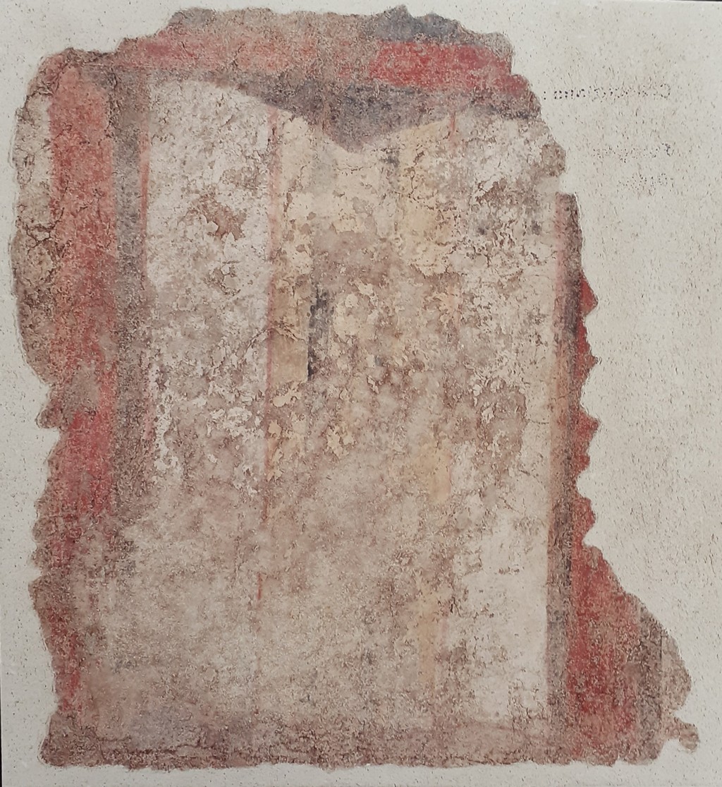 motivo decorativo a finto tendaggio (dipinto, frammento) di Maestro delle Palazze (attribuito) (fine sec. XIII)