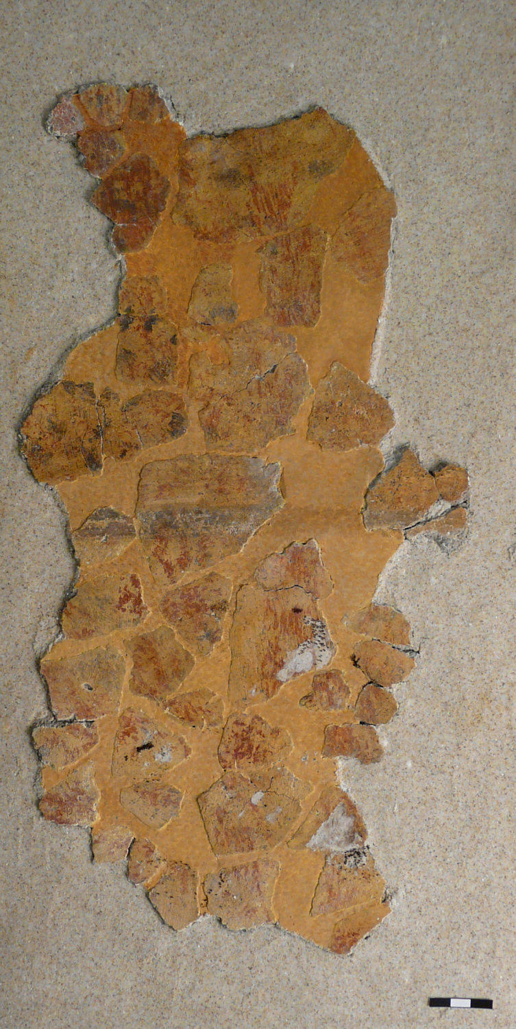 SINGOLO OGGETTO/ affresco, I secolo