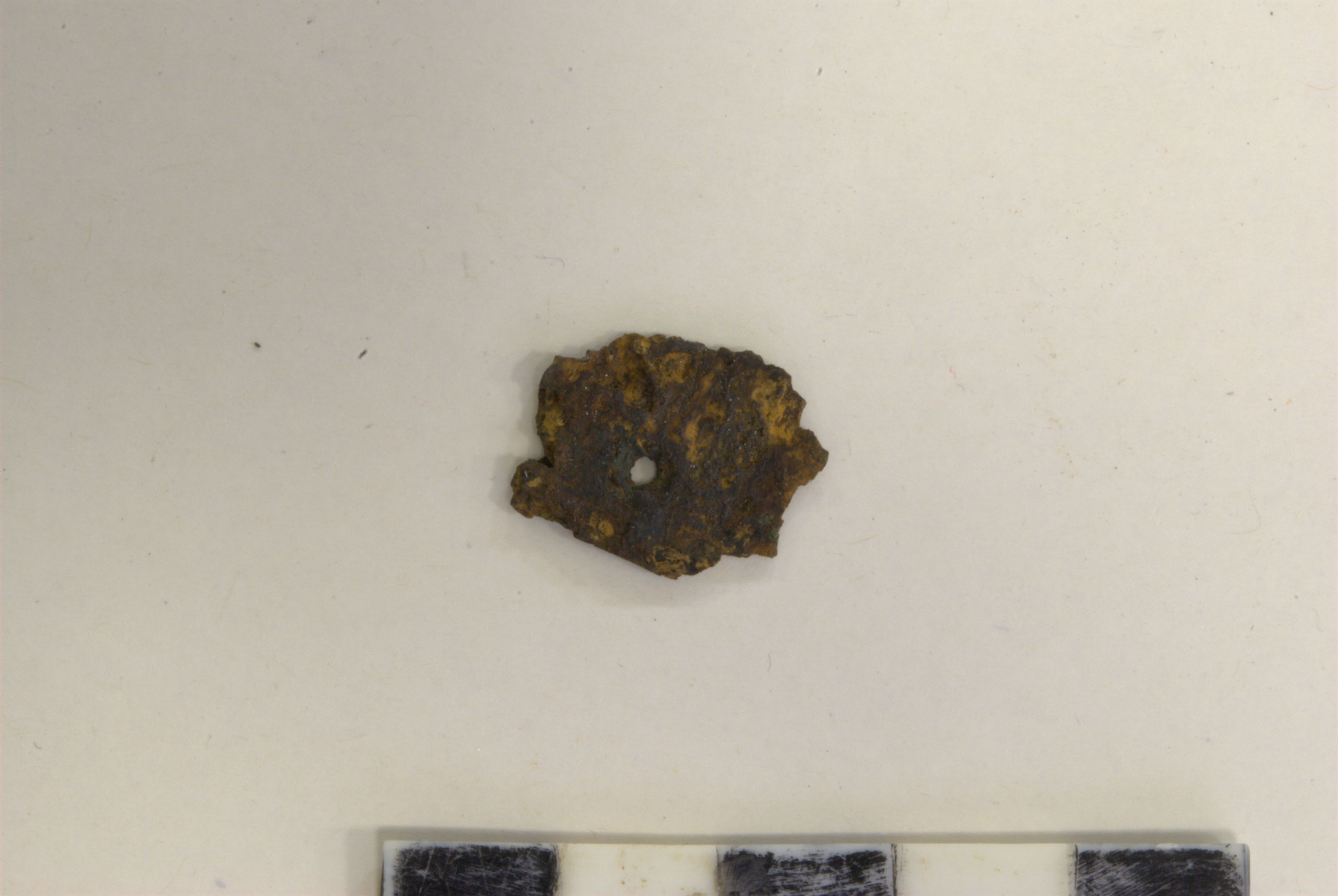 lamina - ambito longobardo (metà SECOLI/ VII)