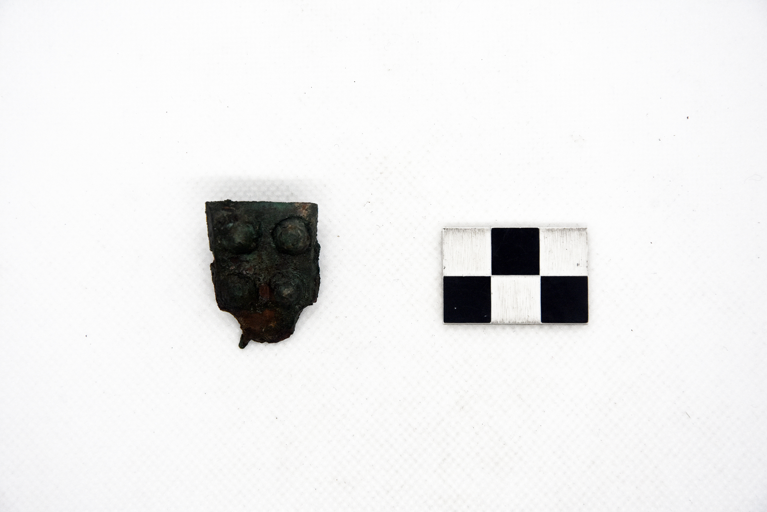 cintura/ placca - ambito longobardo (metà SECOLI/ VII)