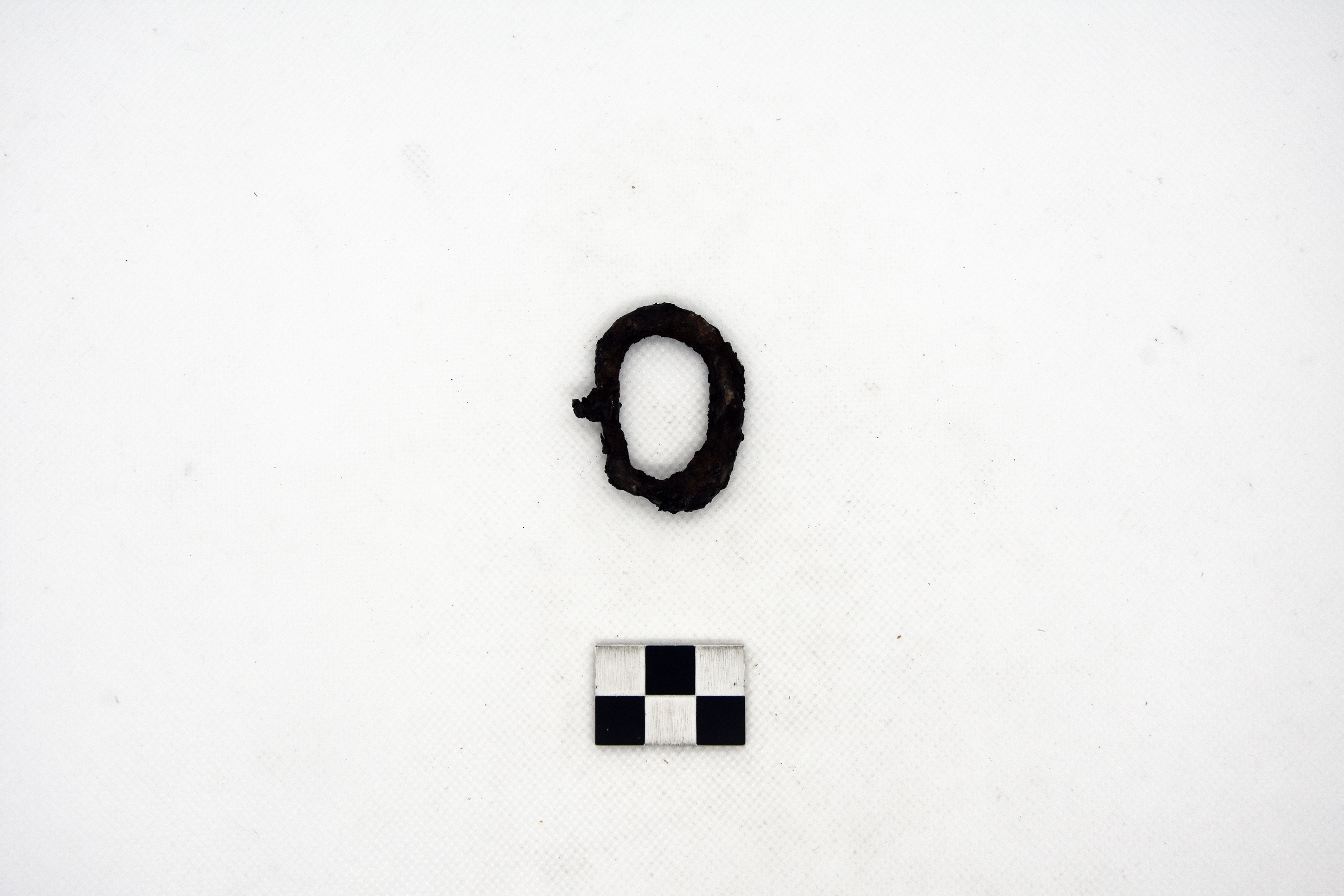 cintura/ fibbia - ambito longobardo (metà SECOLI/ VII)