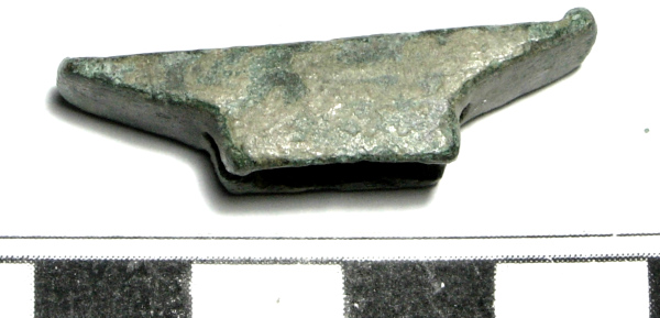 SINGOLO OGGETTO/ guardia, non determinabile