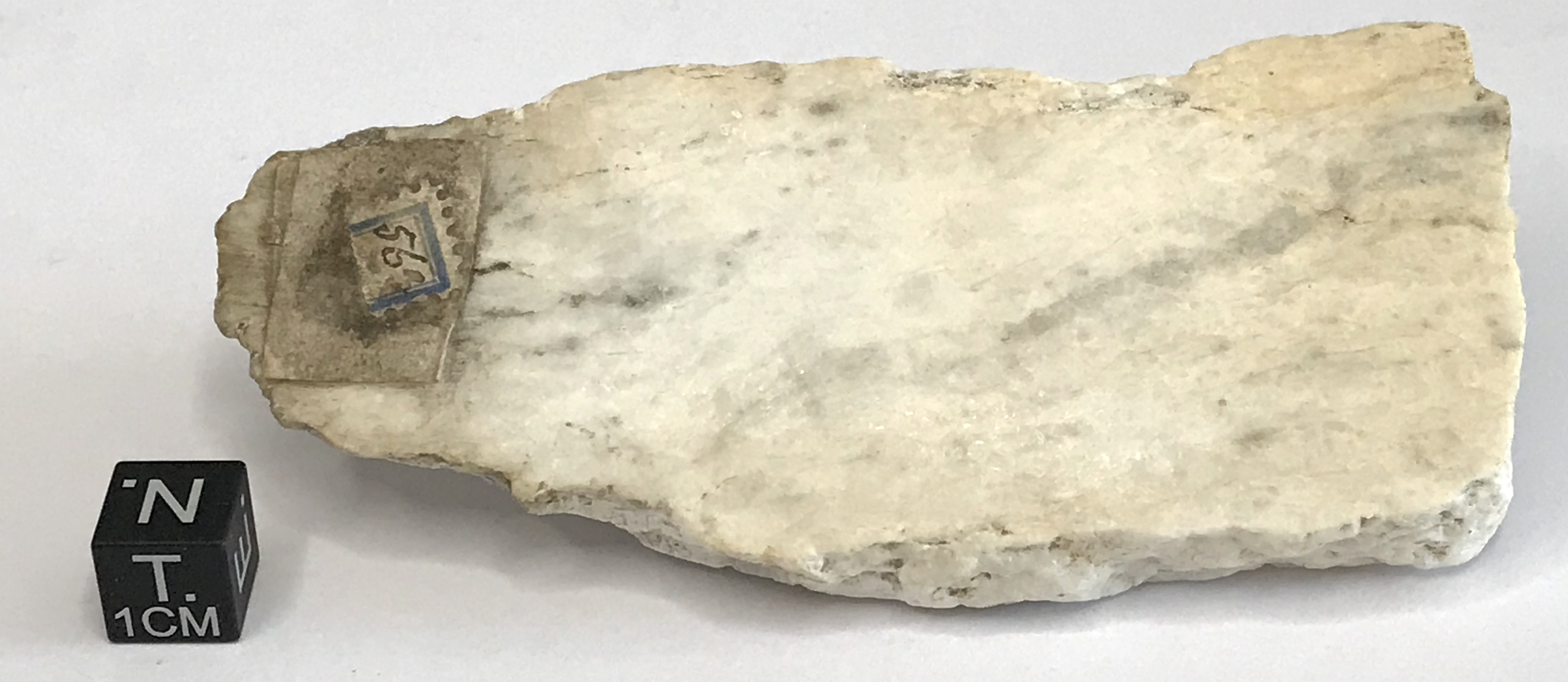 Gesso saccaroide (alabastro) bianco (esemplare)