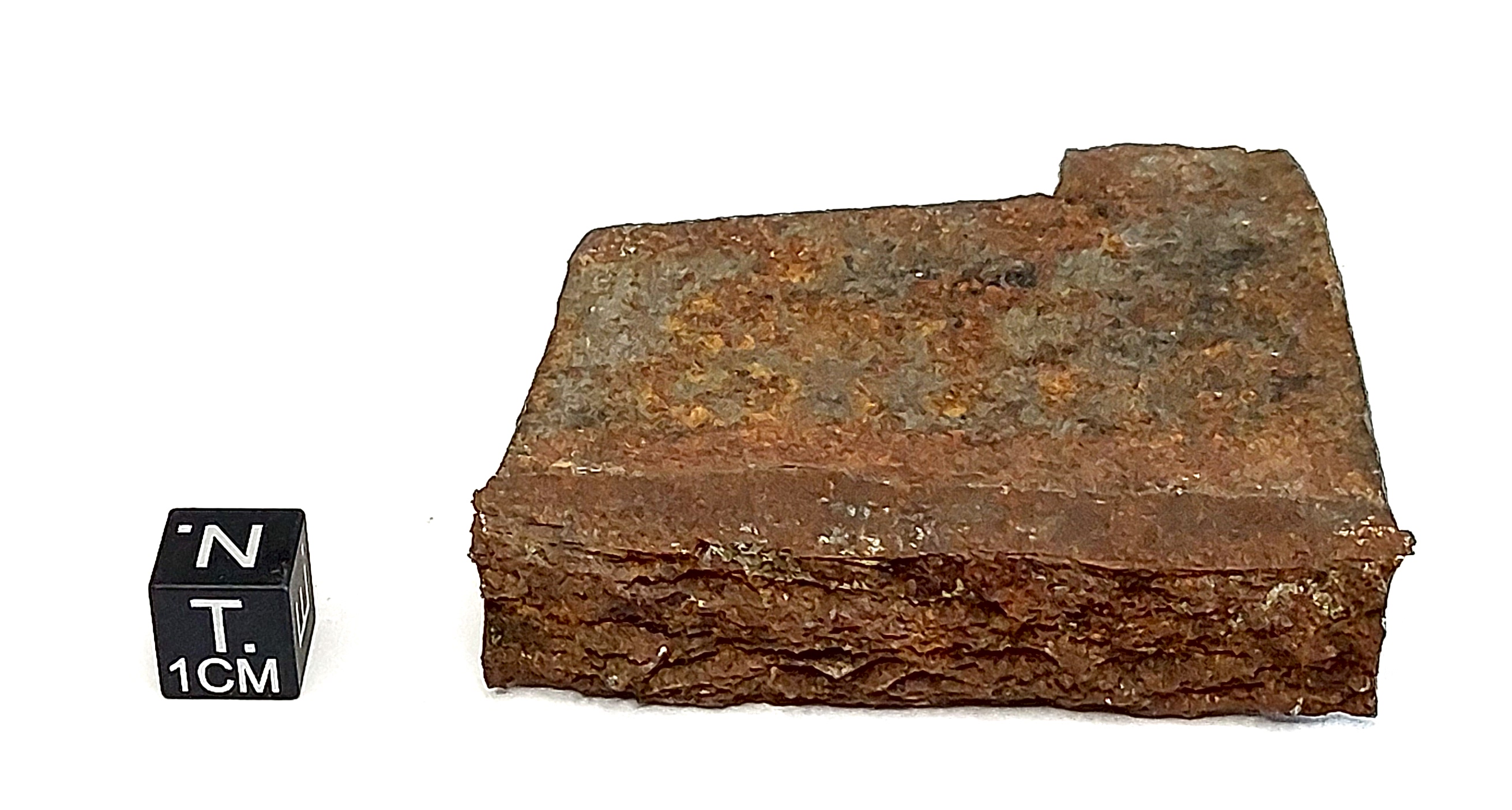 Ferro malleato (esemplare)