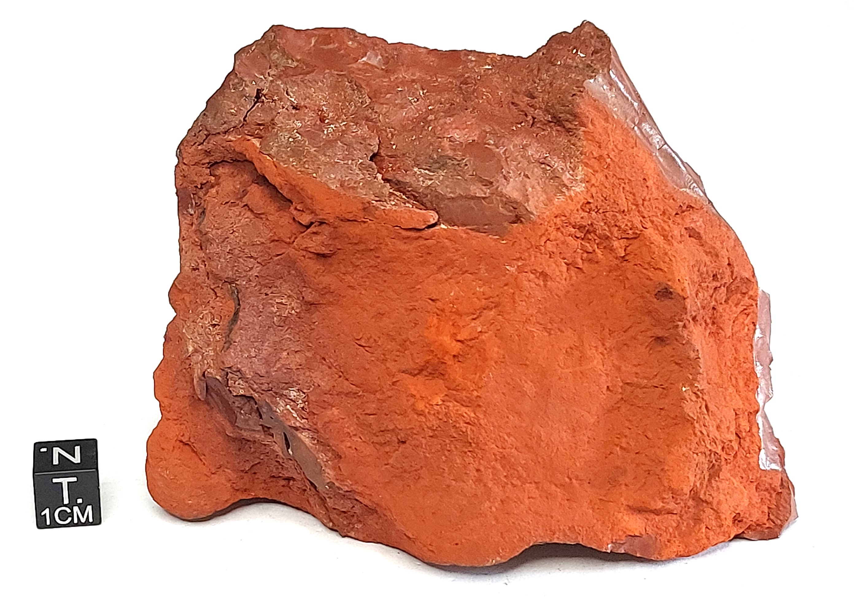 Opale comune resinite rossigna (esemplare)