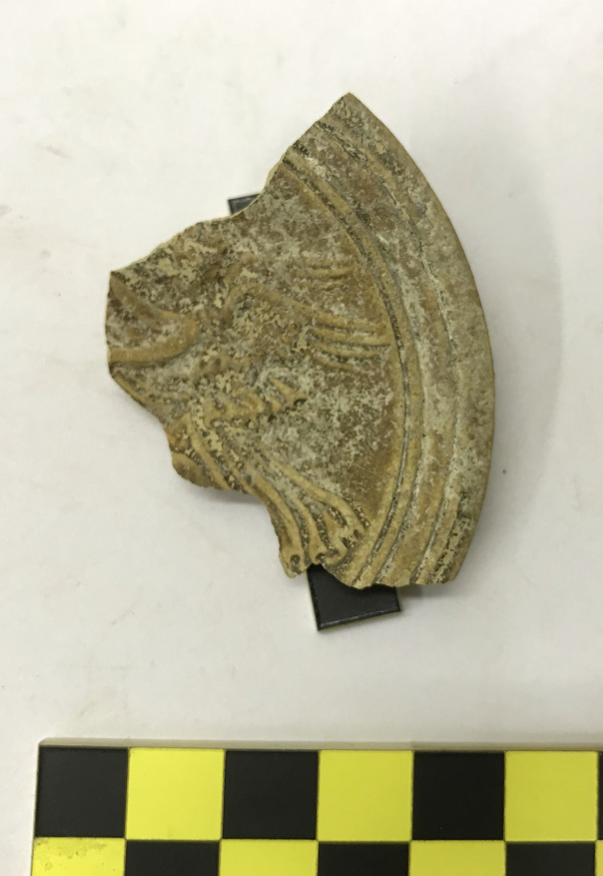 lucerna/ disco (PERIODIZZAZIONI/ STORIA/ Età antica/ Età romana/ Età romana imperiale/ Età altoimperiale)