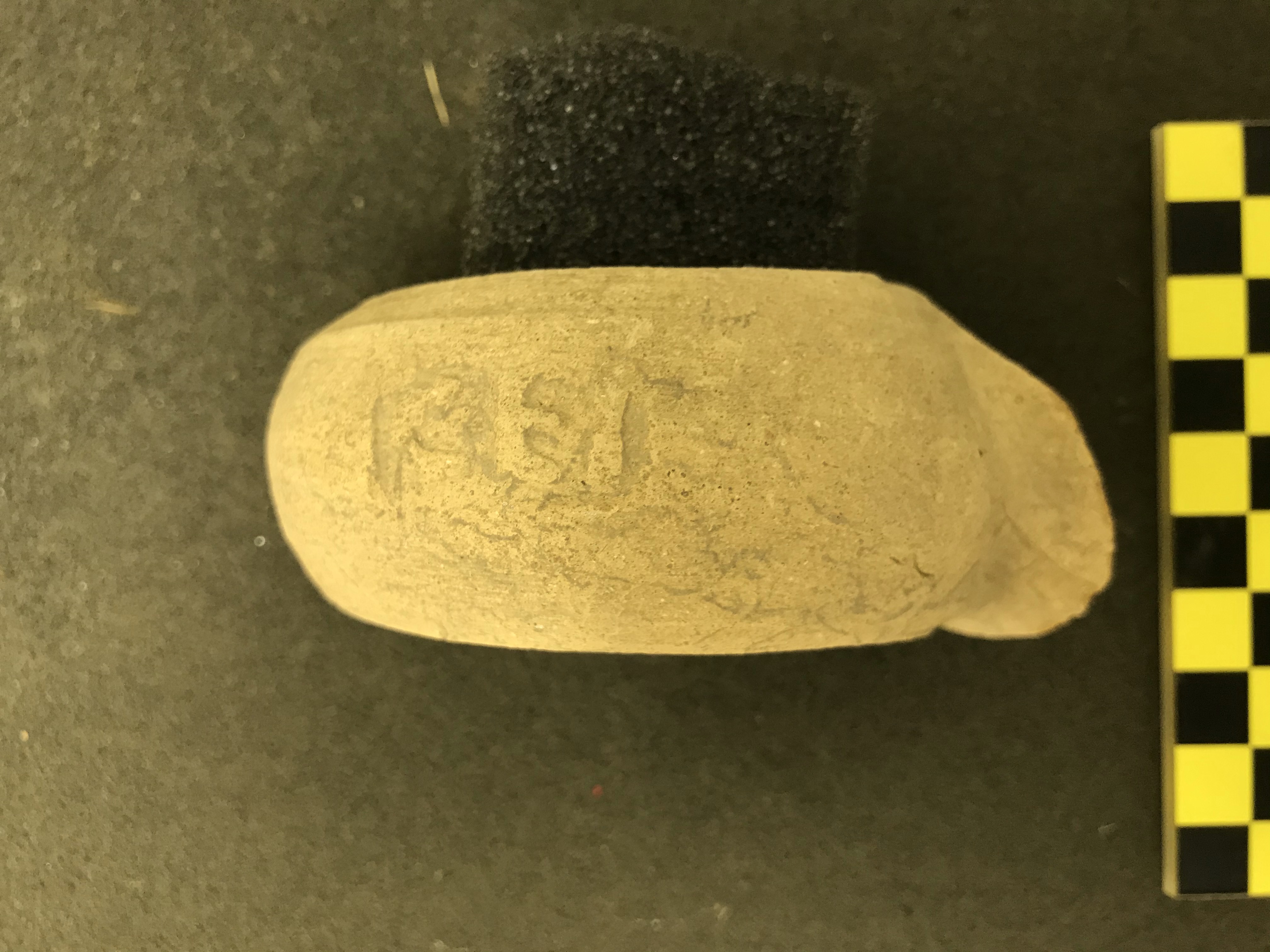 anfora/ ansa (PERIODIZZAZIONI/ STORIA/ Età antica/ Età romana/ Età romana imperiale/ Età altoimperiale)