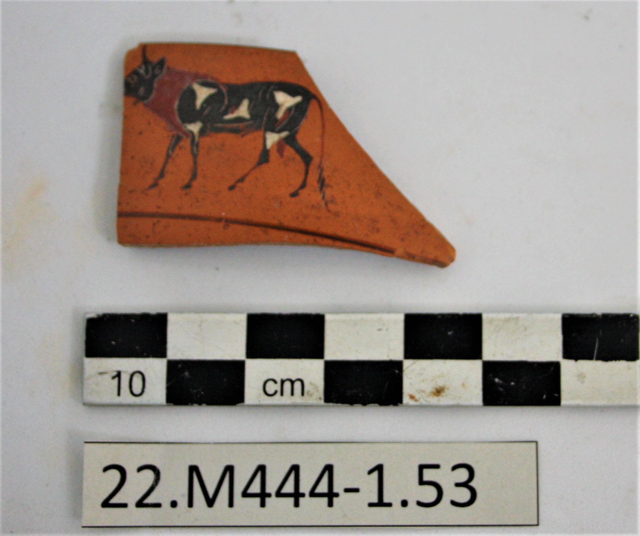 SINGOLO OGGETTO/ kylix, SECOLI/ VI a.C