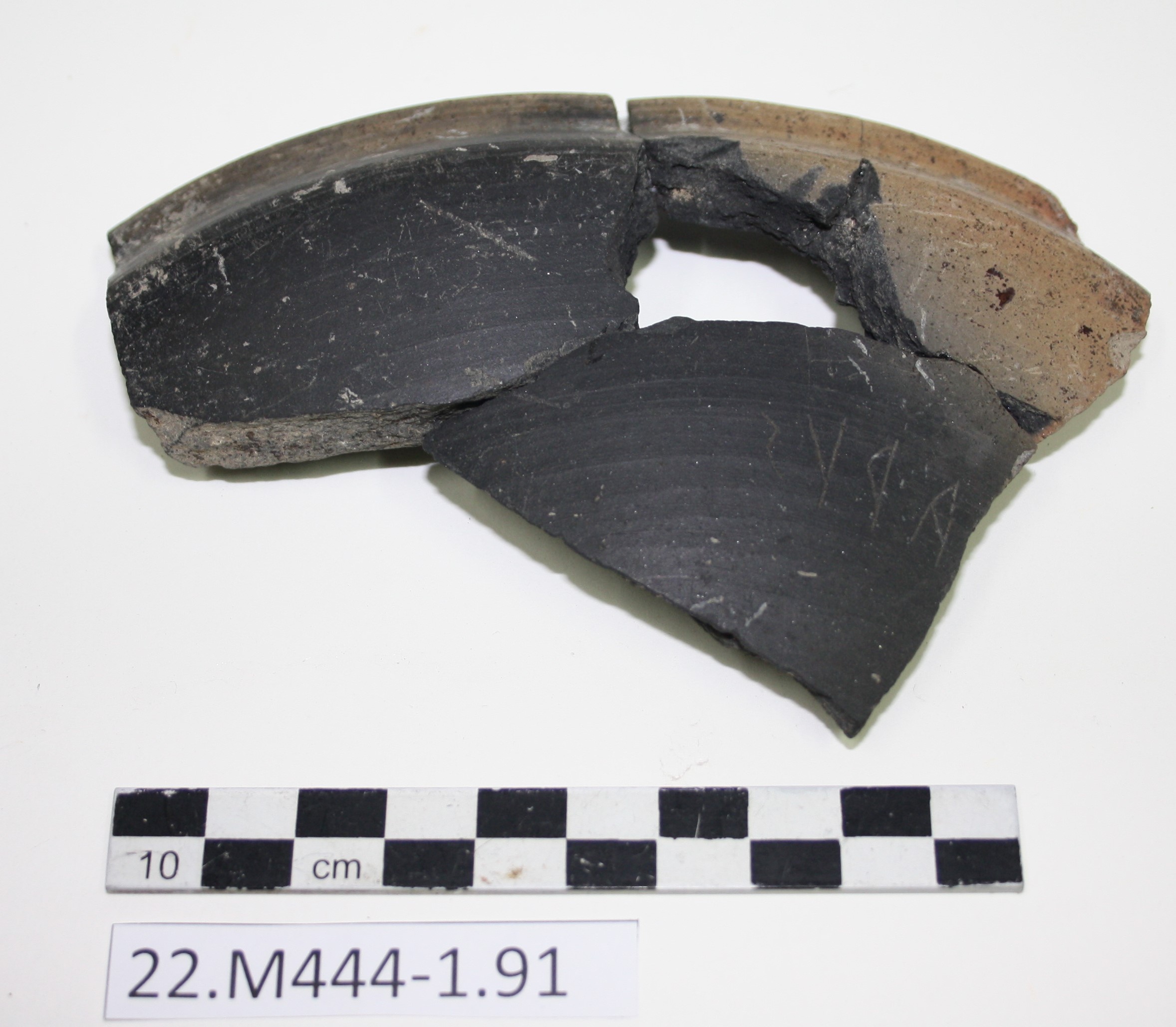 SINGOLO OGGETTO/ coppa, SECOLI/ VI a.C