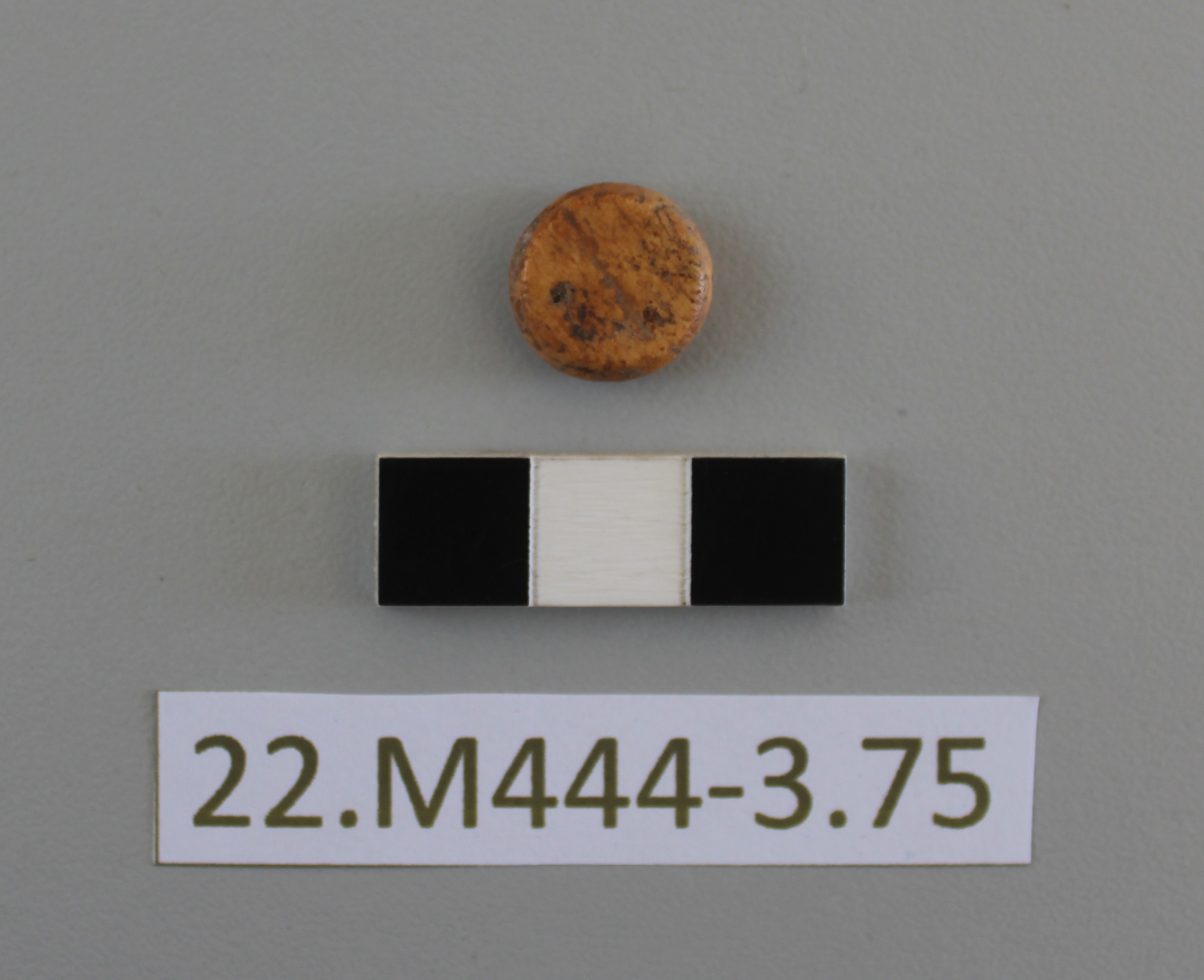 SINGOLO OGGETTO/ pedina, PERIODIZZAZIONI/ STORIA/ Età antica/ Età romana