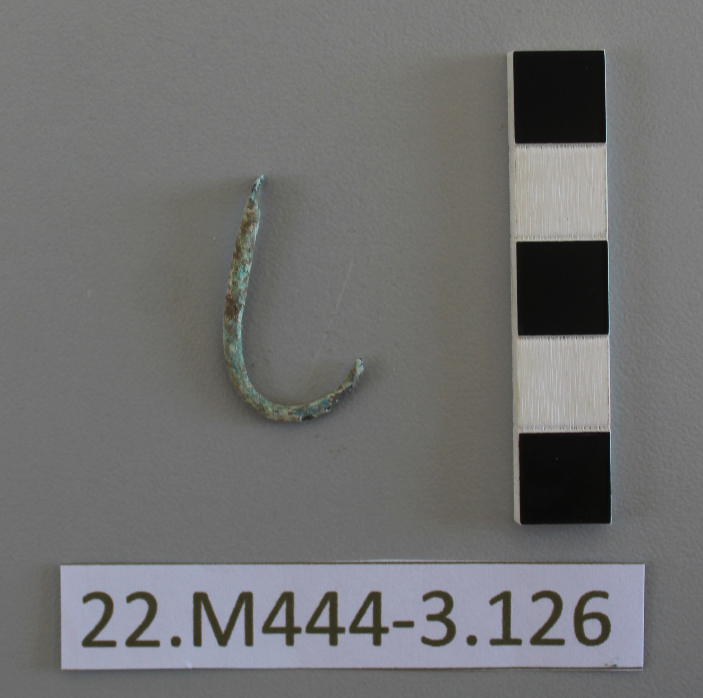 SINGOLO OGGETTO/ amo, PERIODIZZAZIONI/ STORIA/ Età antica/ Età romana