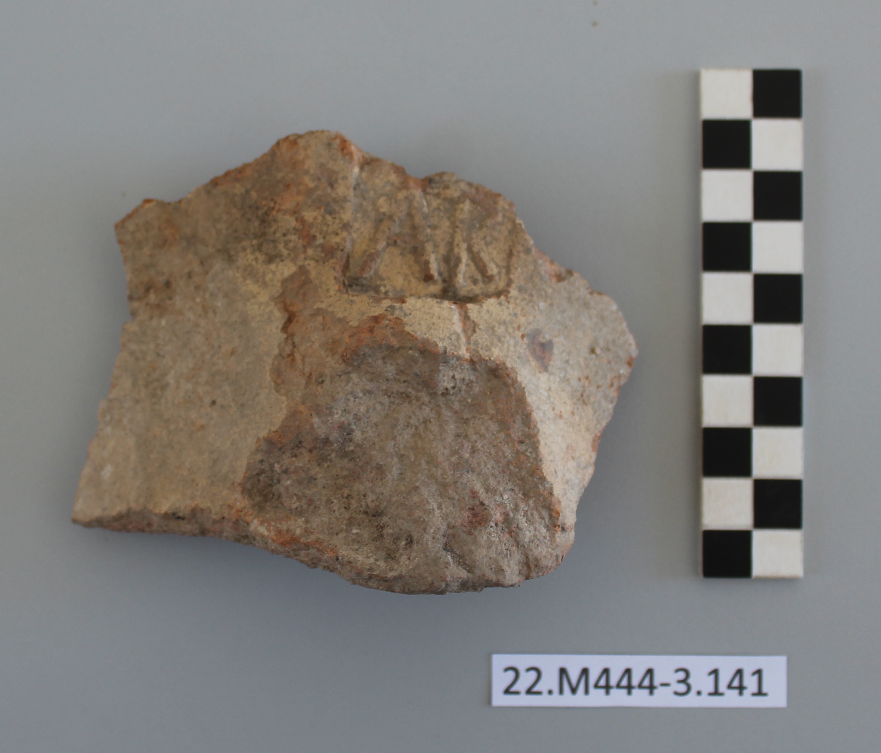 SINGOLO OGGETTO/ anfora, SECOLI/ I a.C