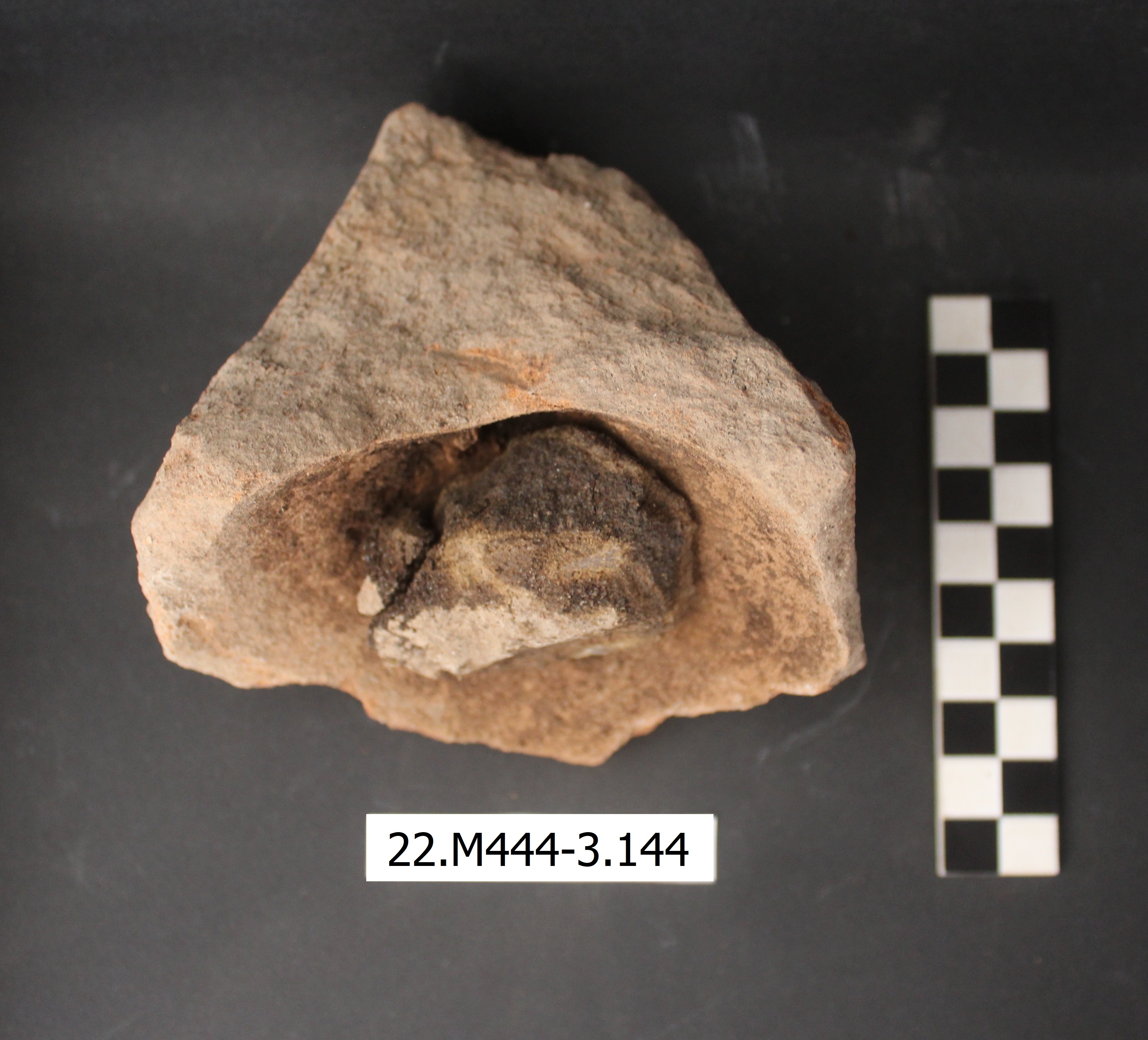 SINGOLO OGGETTO/ anfora, PERIODIZZAZIONI/ STORIA/ Età antica/ Età romana