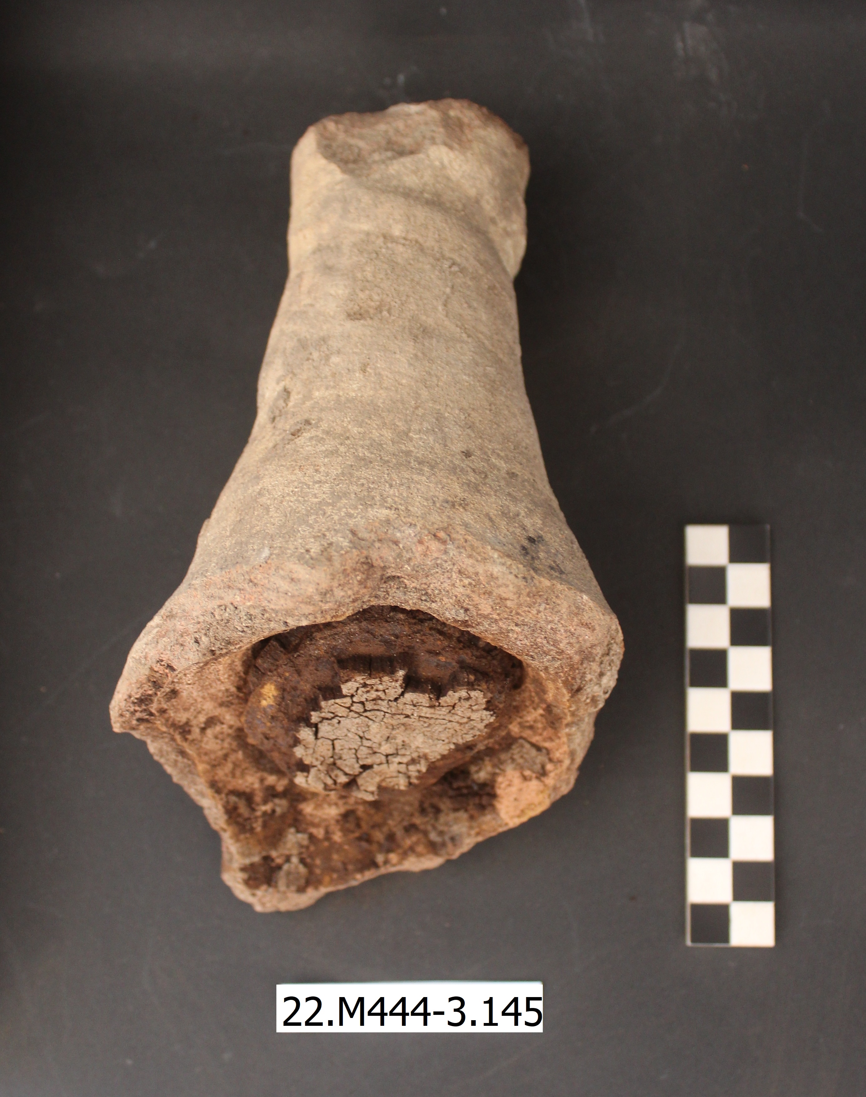 SINGOLO OGGETTO/ anfora, PERIODIZZAZIONI/ STORIA/ Età antica/ Età romana