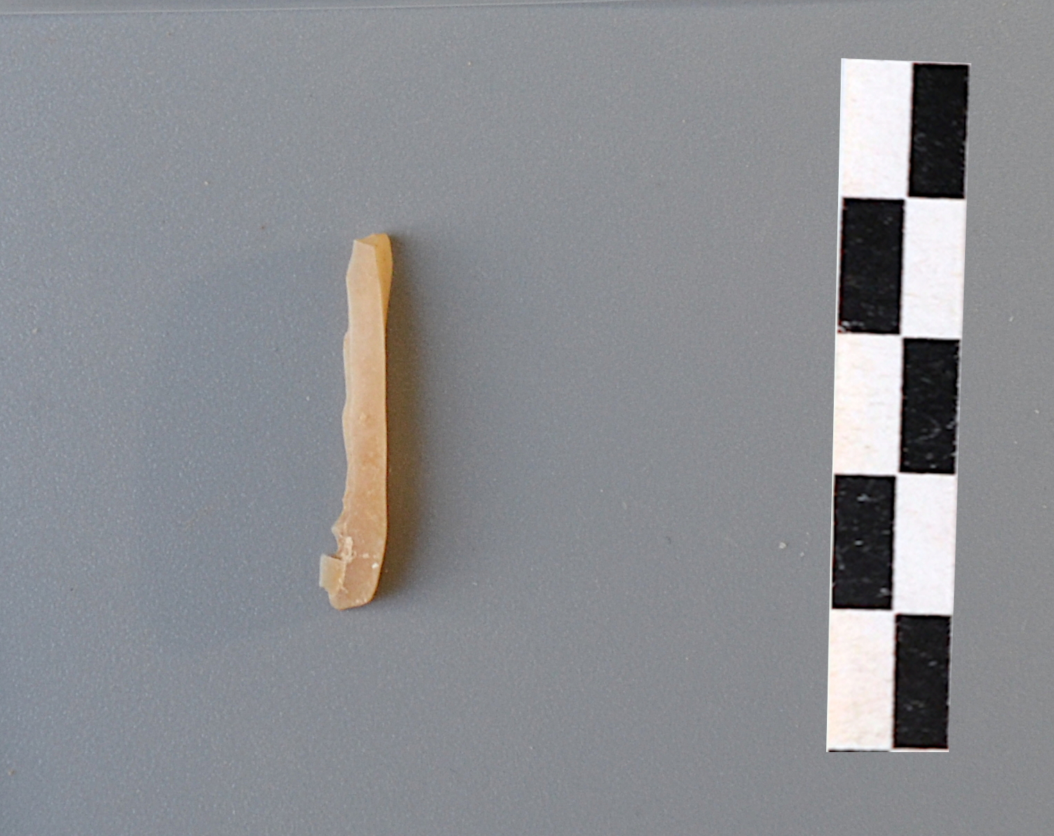 SINGOLO OGGETTO/ bulino, PERIODIZZAZIONI/ PREISTORIA/ Neolitico