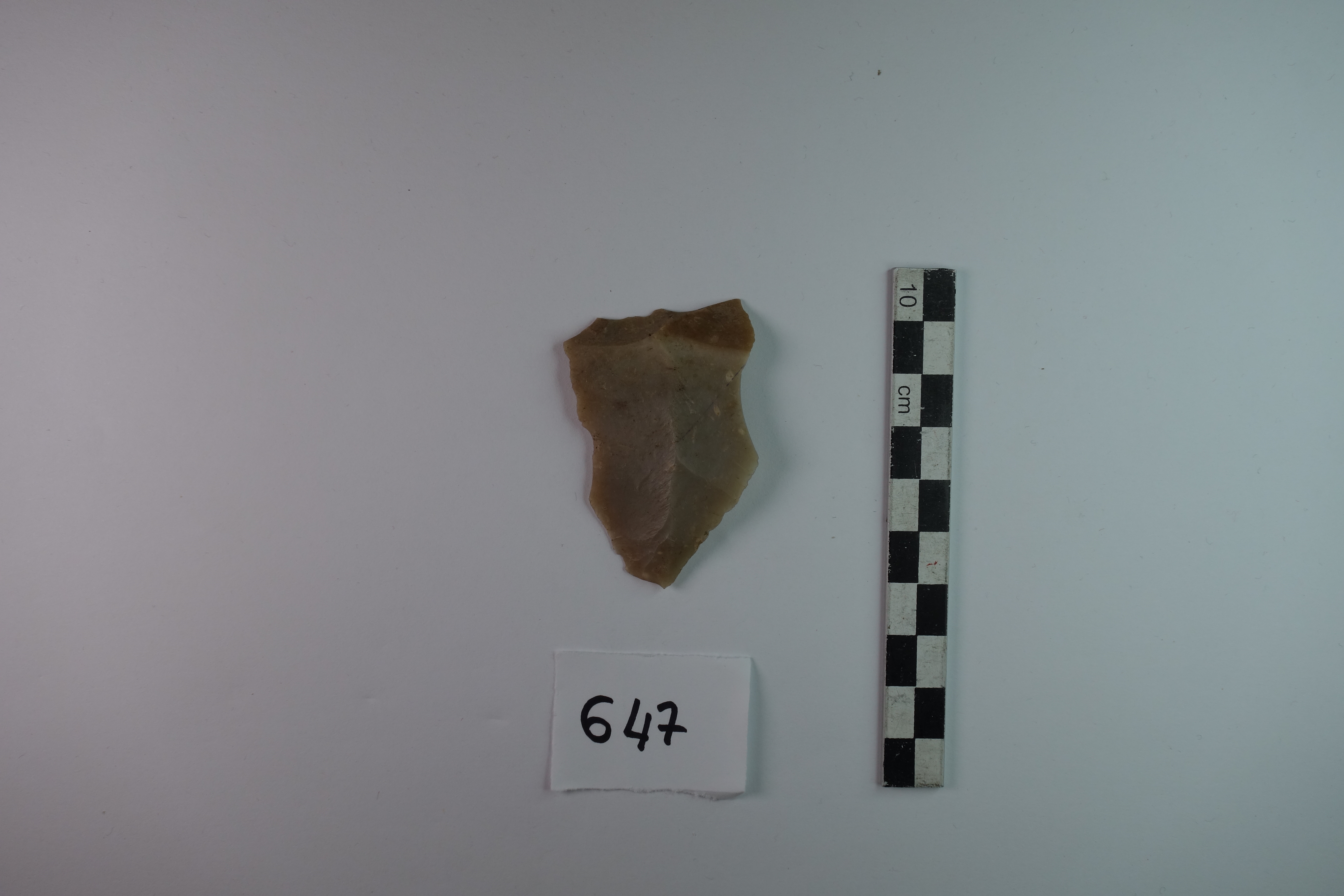 SINGOLO OGGETTO/ scheggia, PERIODIZZAZIONI/ PREISTORIA/ Predinastico